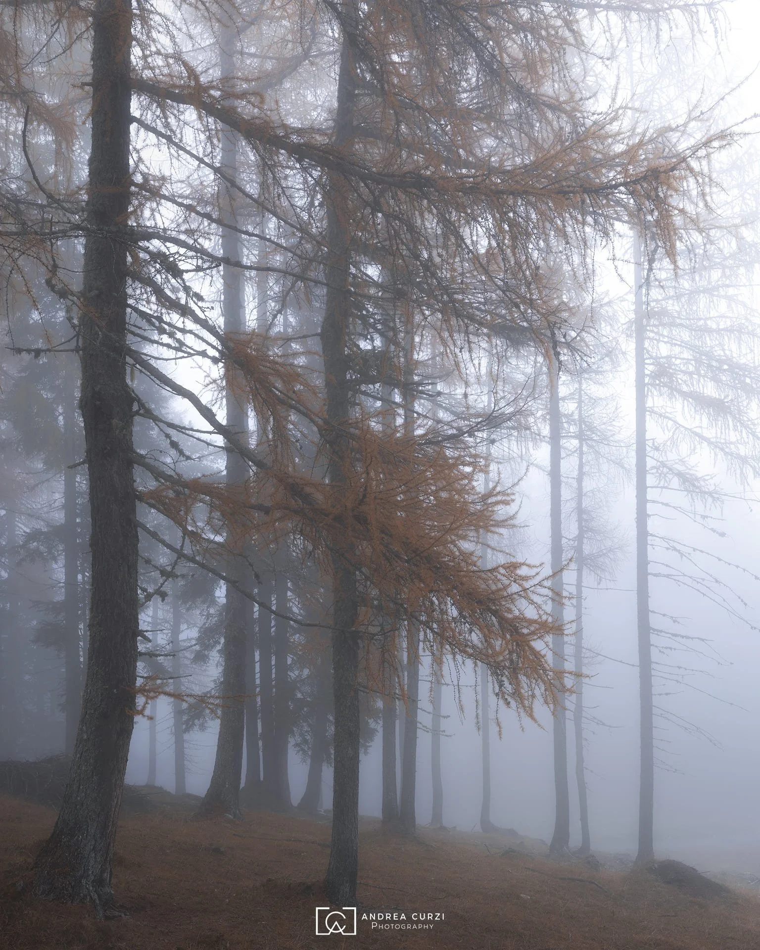 Foto di un'alba in autunno durante il Foliage in Dolomiti durante in viaggio fotografico di Andrea Curzi. Siamo vicino al Lago Federa