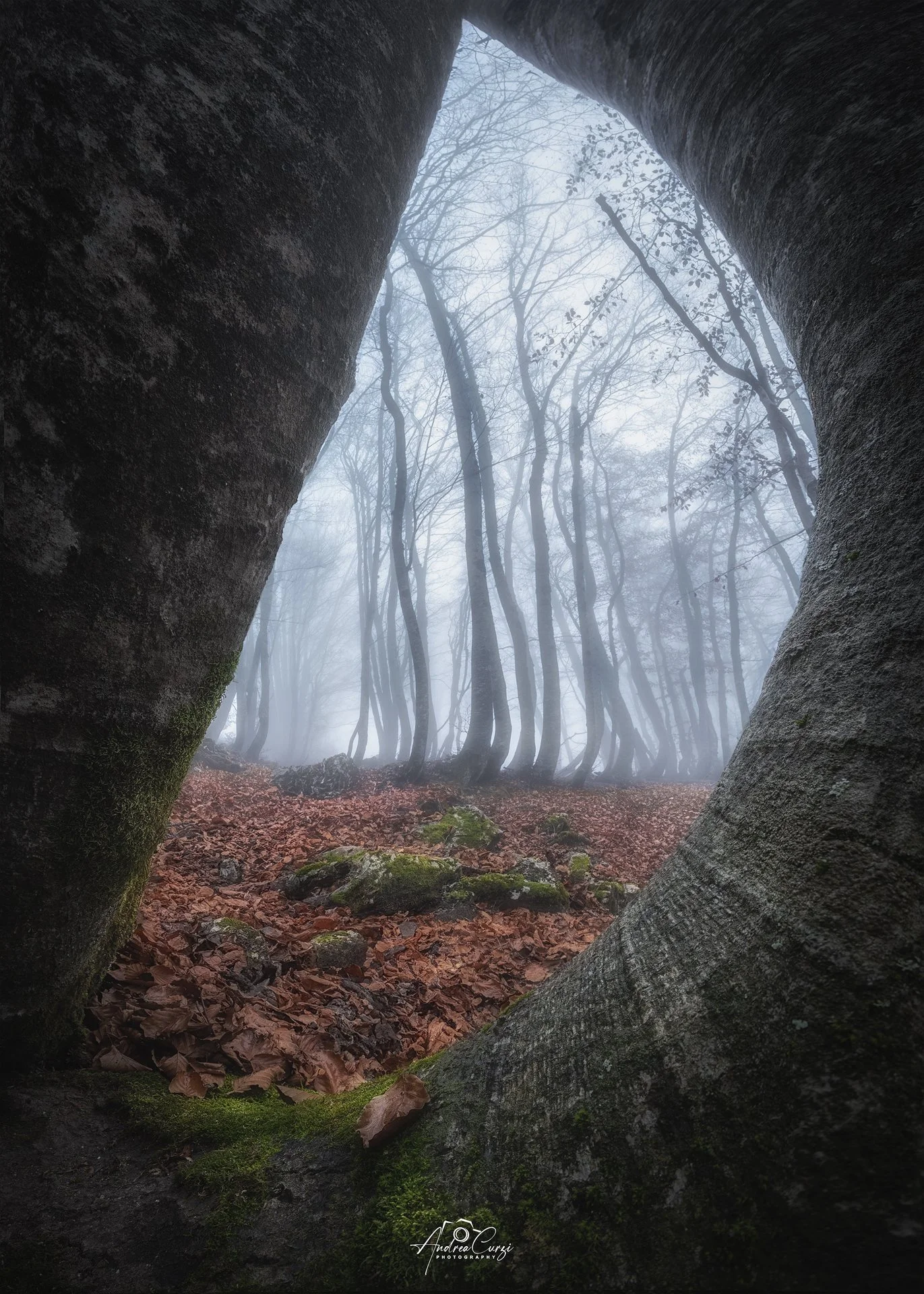 Abruzzo Prati di Tivo Autunno Foliage Nebbia 5 web.jpg