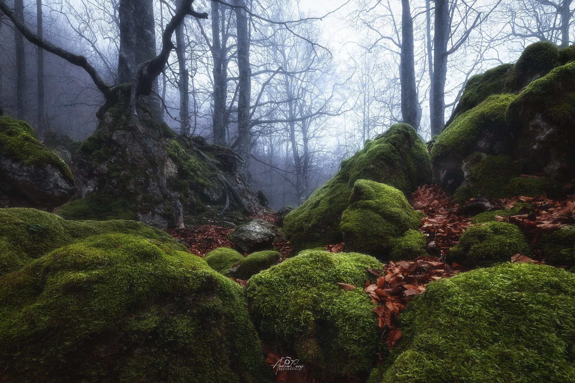 Abruzzo Prati di Tivo Autunno Foliage 7 web.jpg