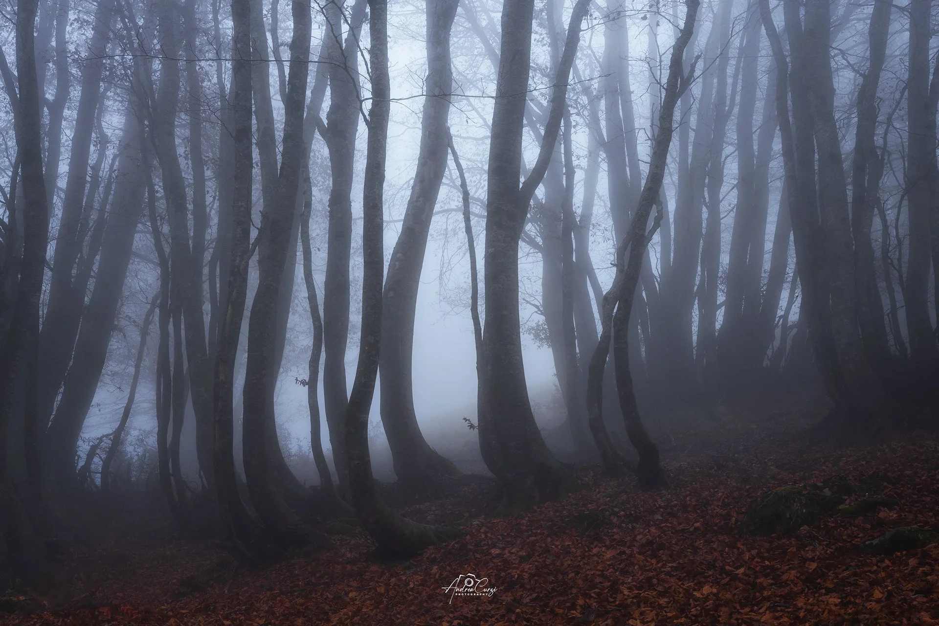 Abruzzo Prati di Tivo Autunno Foliage 12 web.jpg