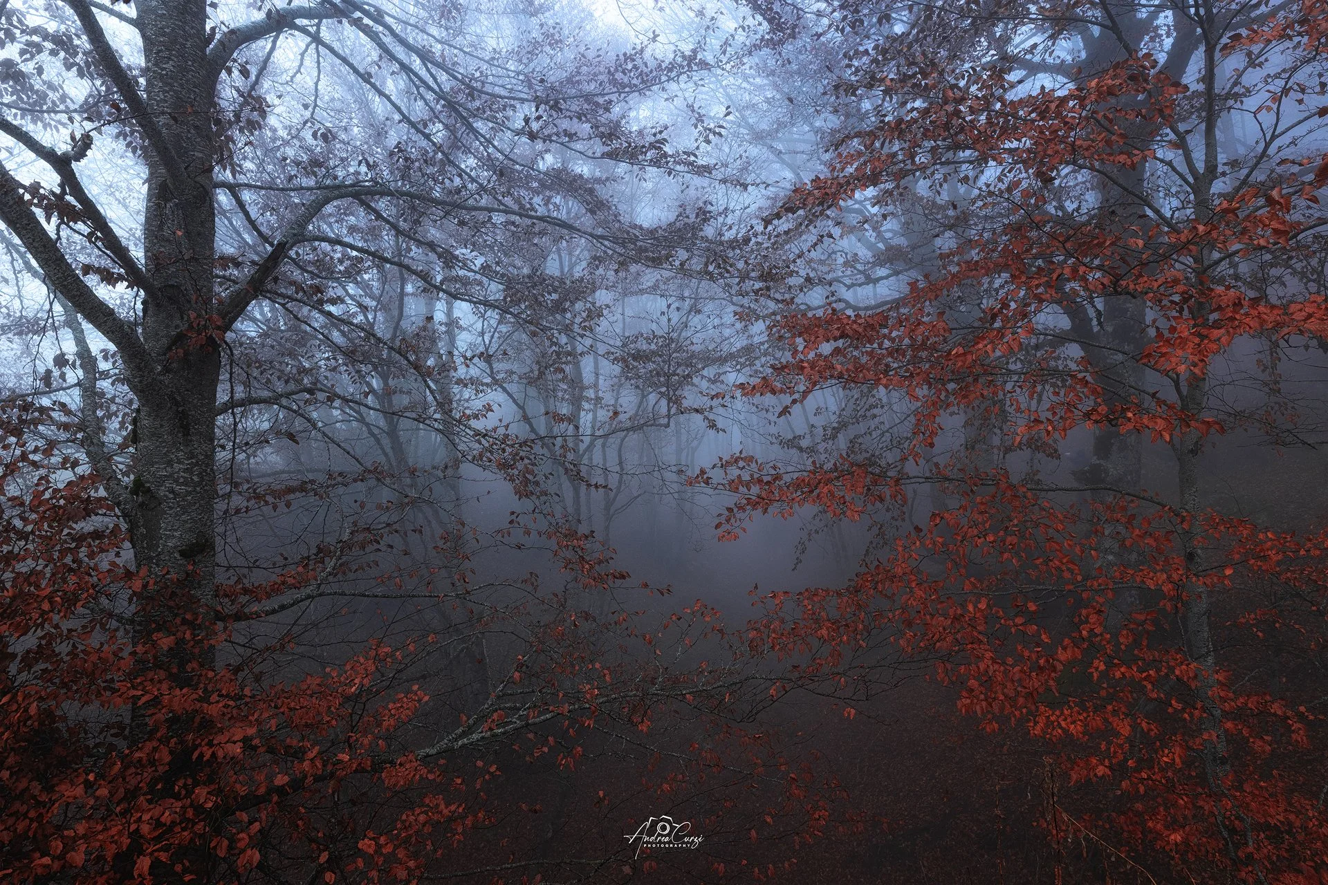 Abruzzo Prati di Tivo Autunno Foliage 13 web.jpg