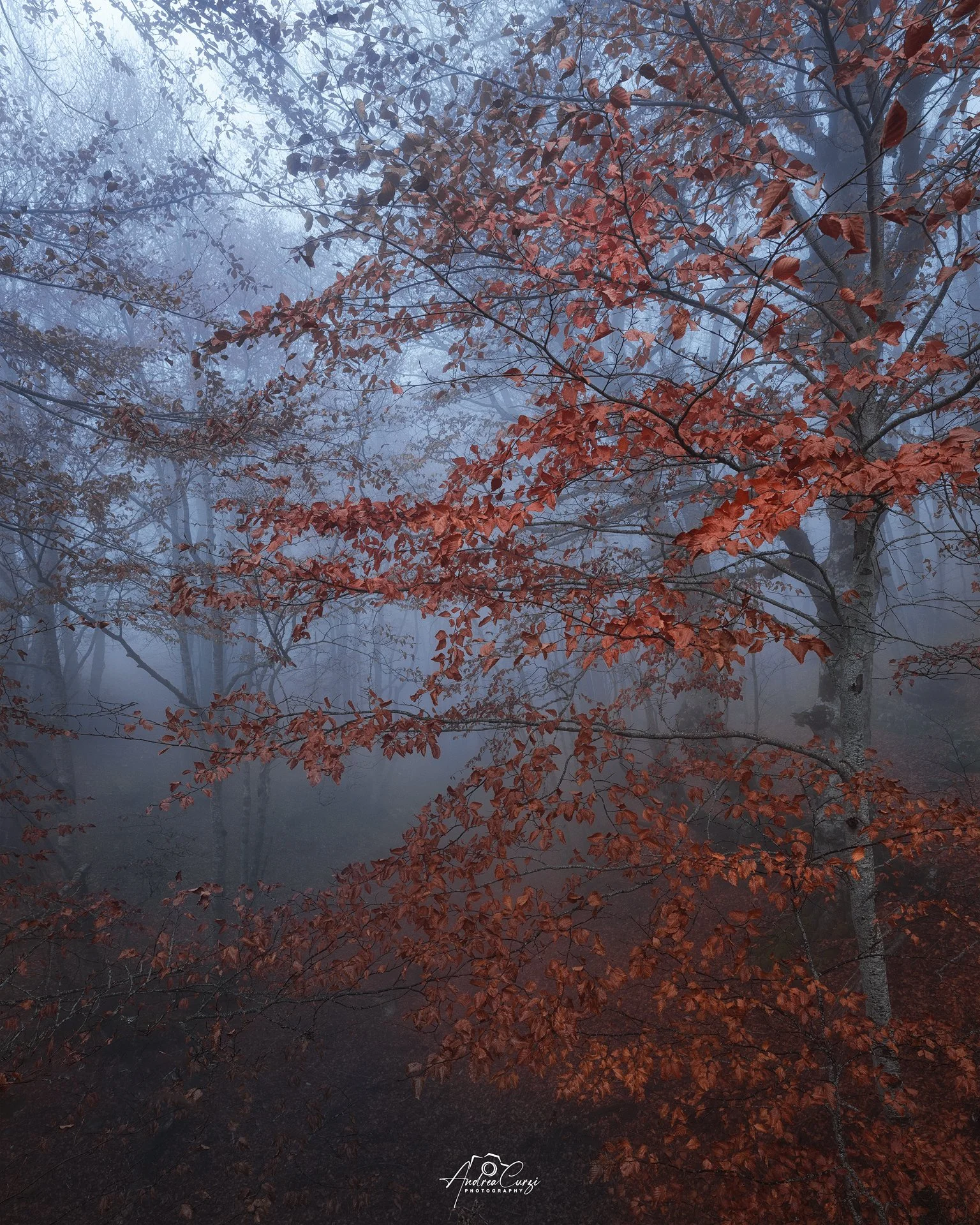 Abruzzo Prati di Tivo Autunno Foliage 15 web.jpg