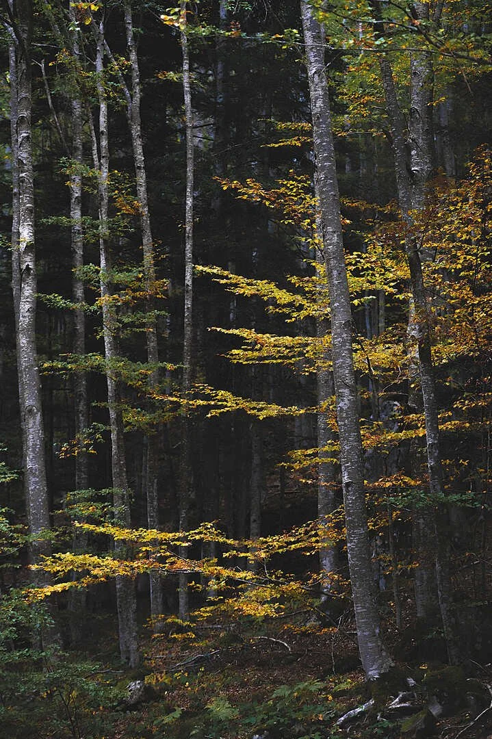 _DSC6659.jpg