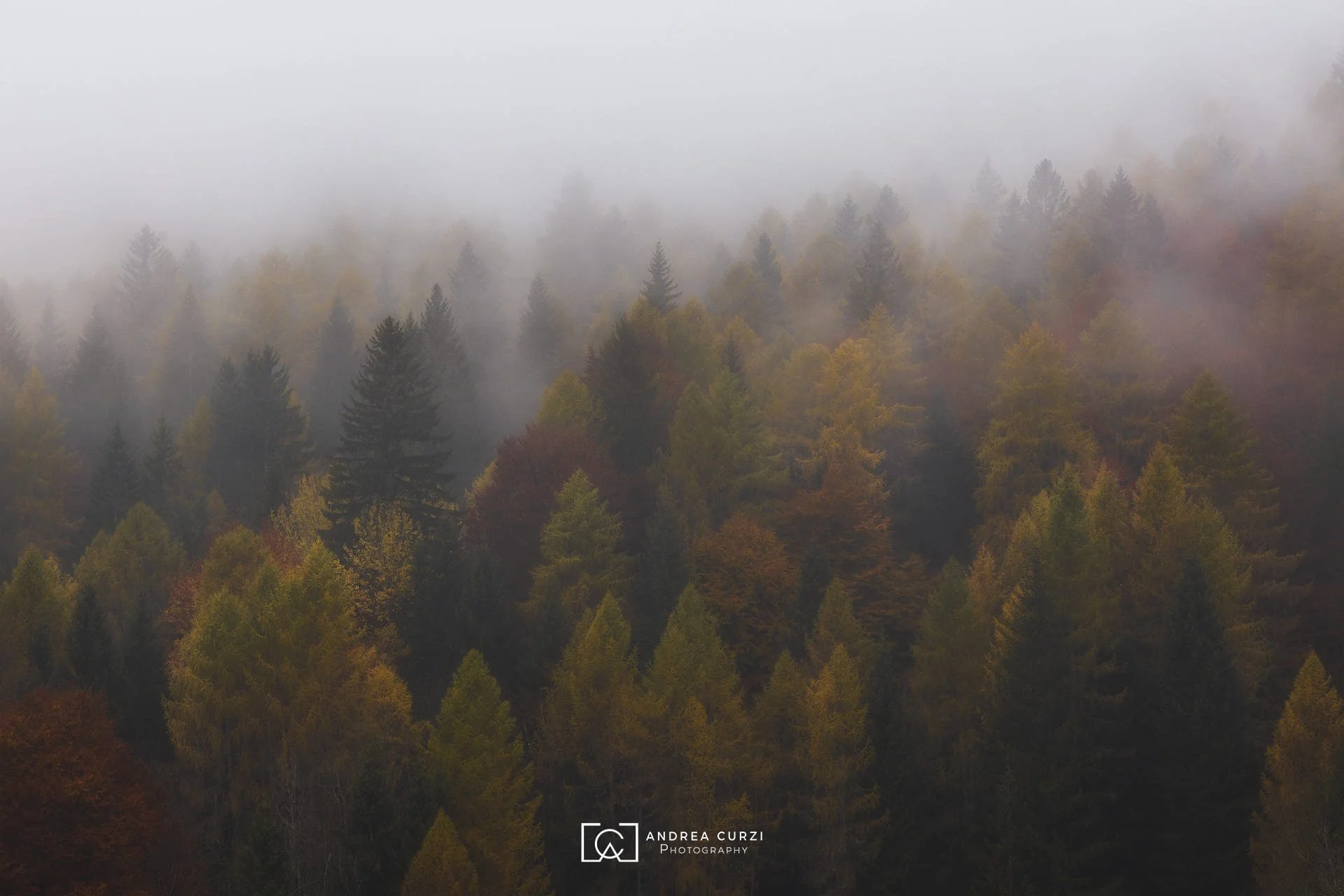 Foto di un'alba in autunno durante il Foliage in Dolomiti durante in viaggio fotografico di Andrea Curzi.