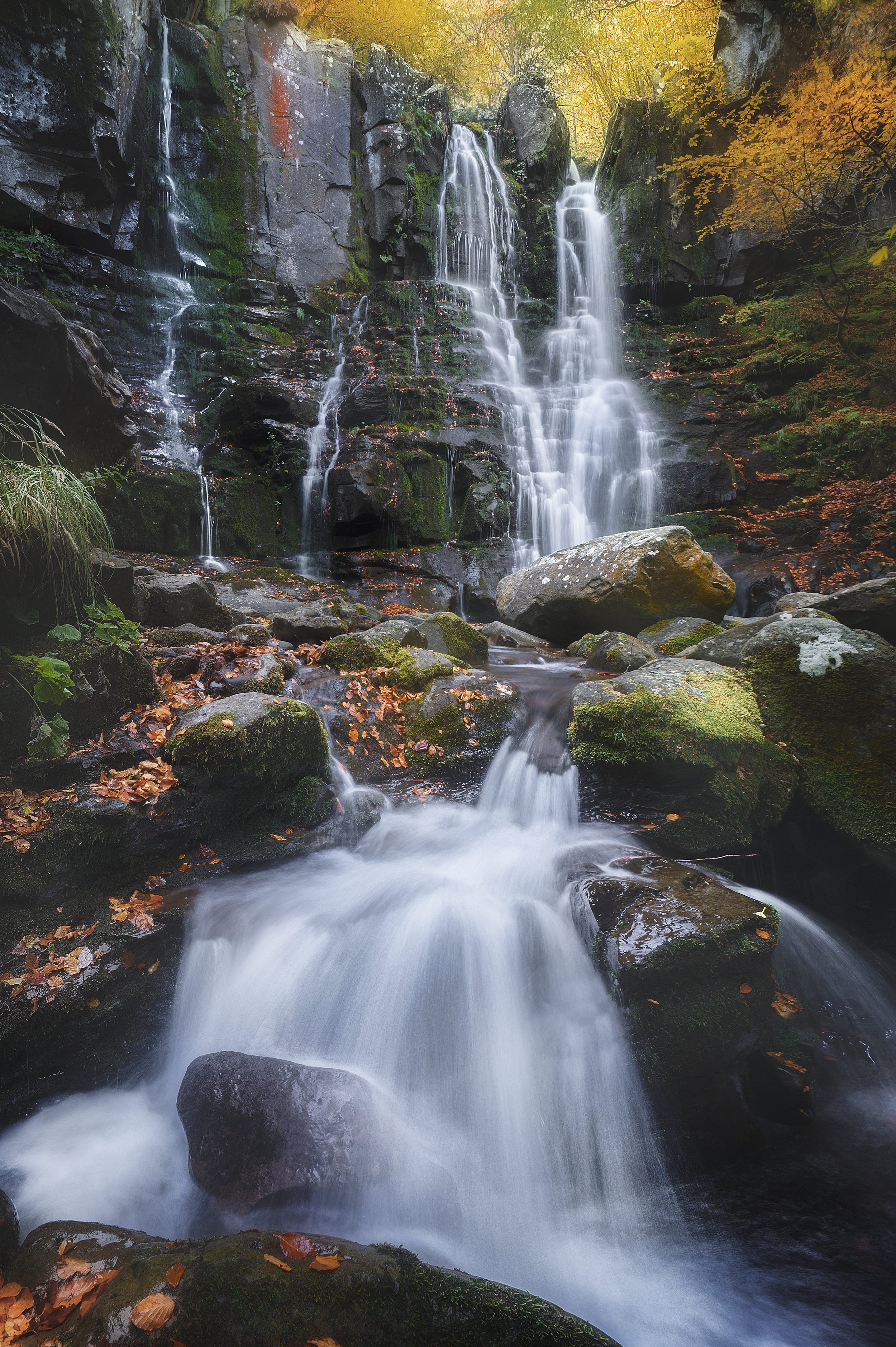 _DSC6738.jpg