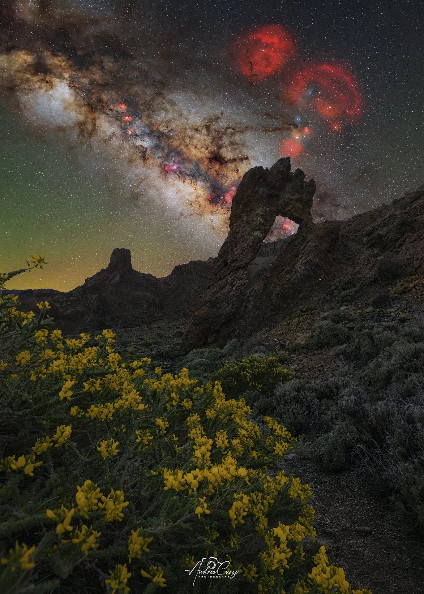 Paesaggio notturno con formazioni rocciose, fiori gialli in primo piano e il cielo stellato della Via Lattea. Siamo a Tenerife al Parco Nazionale del Teide, Zapato de la Reina.