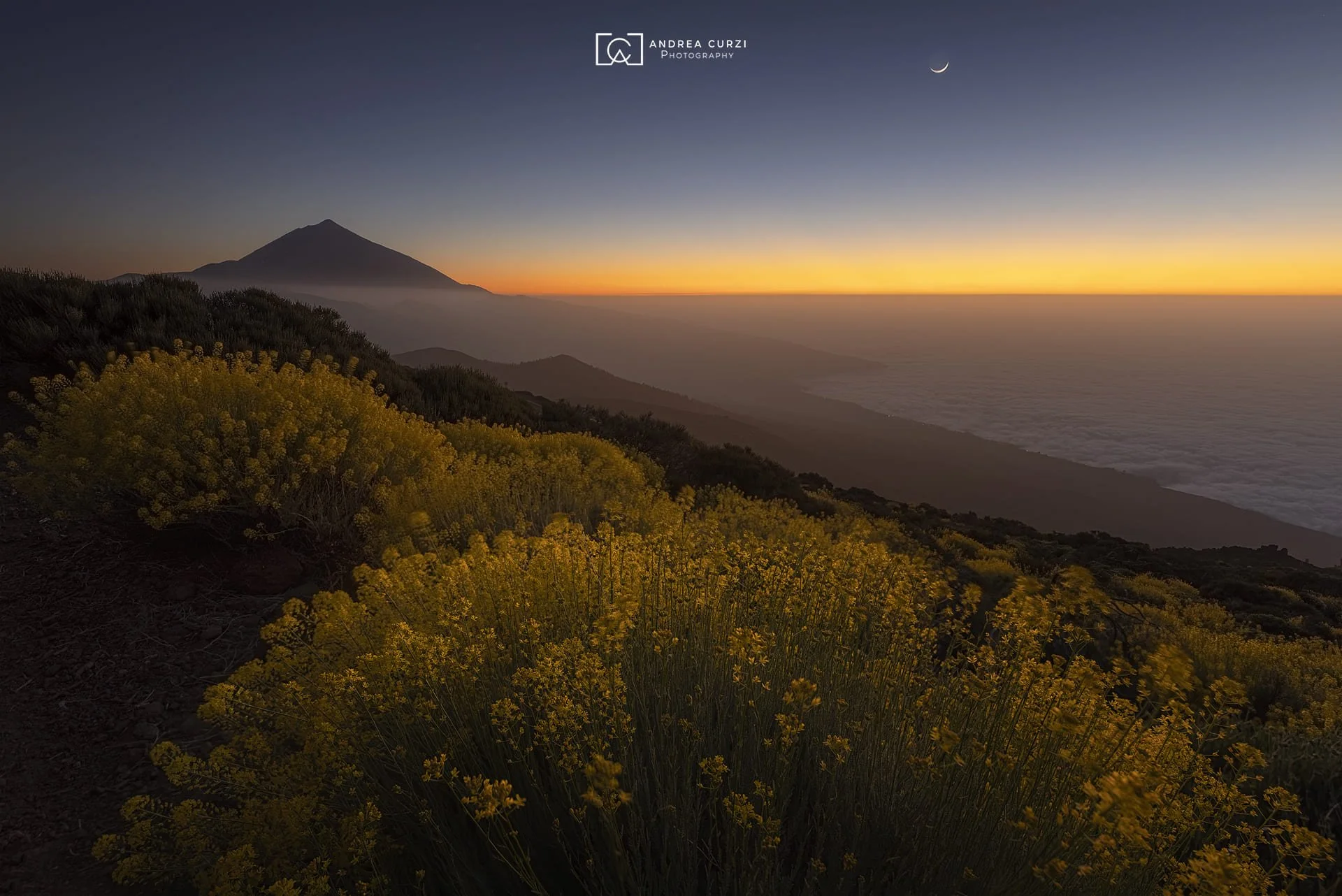 Paesaggio al tramonto con montagne, crepuscolo, mare, fiori gialli in primo piano e il cielo con la luna crescente. Scattata durante un viaggio fotografico a Tenerife sul Parco Nazionale del Teide di Andrea Curzi.