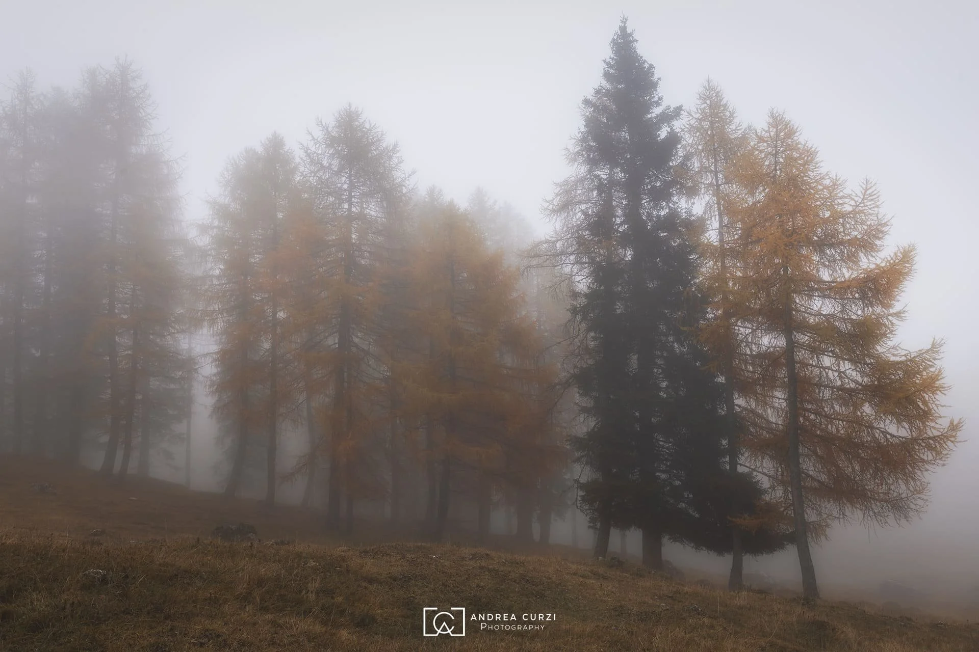 Foto di un'alba in autunno durante il Foliage in Dolomiti durante in viaggio fotografico di Andrea Curzi. Siamo vicino al Lago Federa