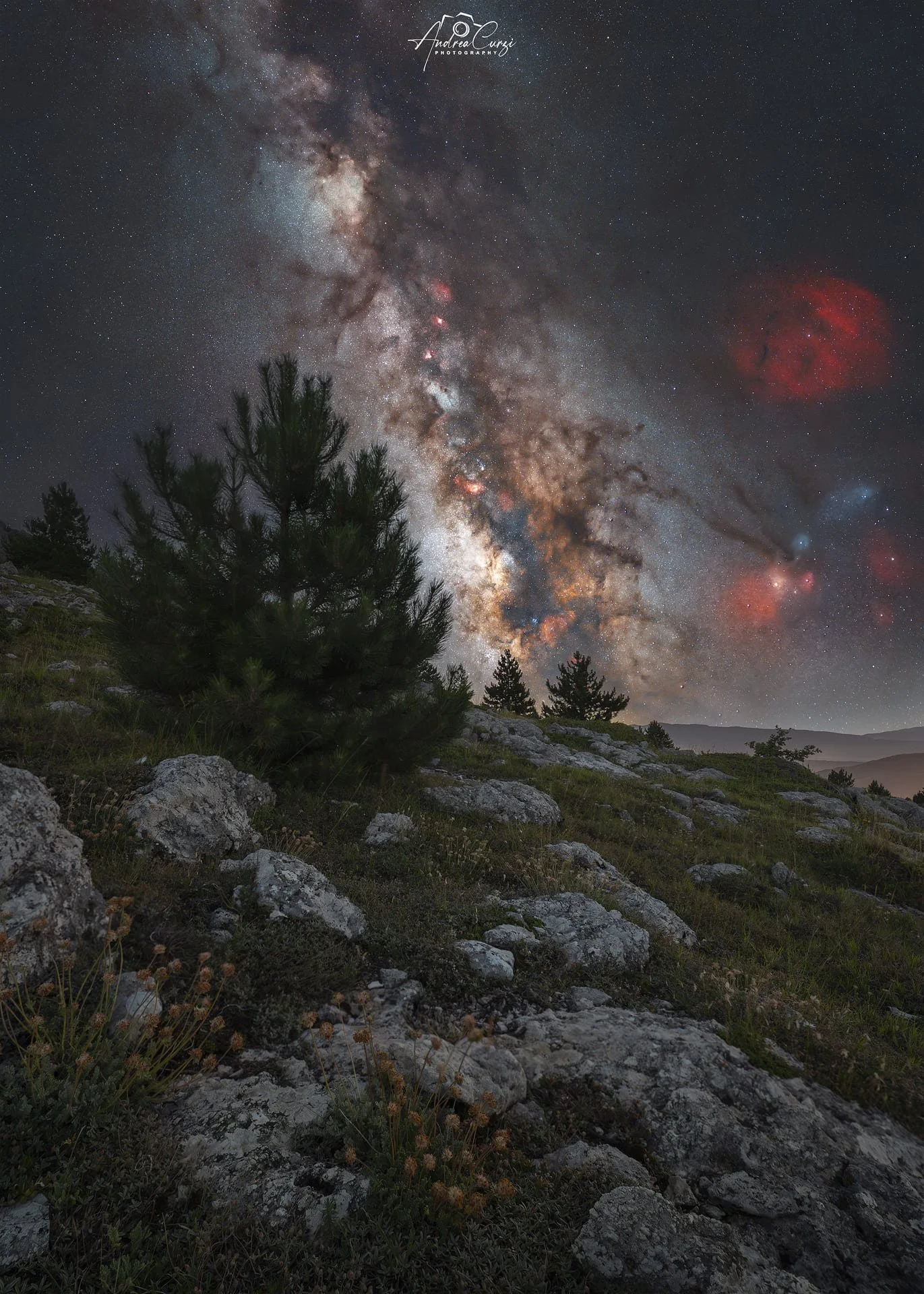 Cielo stellato con la Via Lattea estiva sopra un paesaggio montano con alberi e rocce. Siamo a Campo imperatore in Abruzzo.