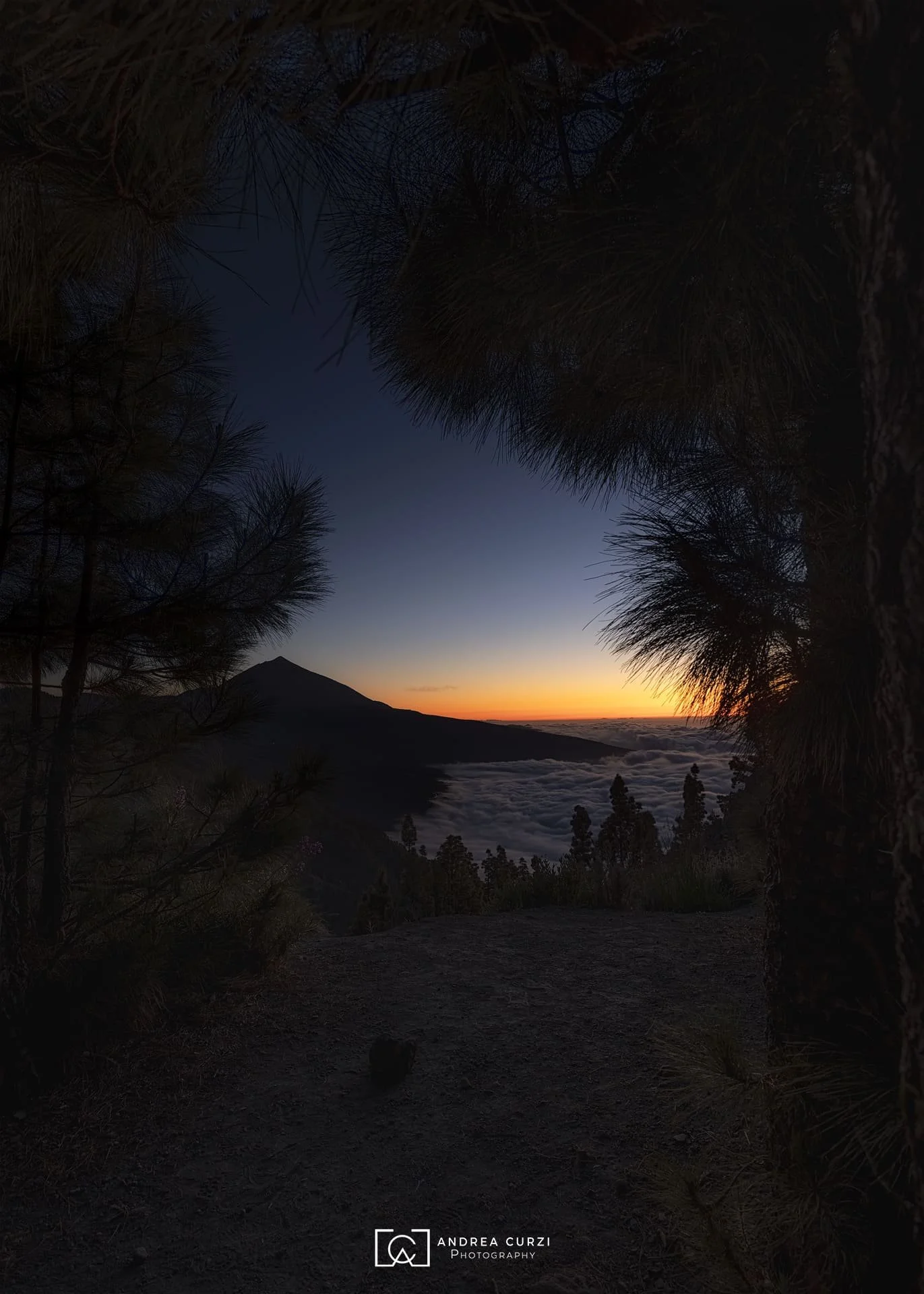 Paesaggio di uno dei Mirador di Tenerife al crepuscolo con cielo blu e arancione, pini in primo piano e nuvole sopra la valle. Scattata durante un viaggio fotografico a Tenerife sul Parco Nazionale del Teide di Andrea Curzi.