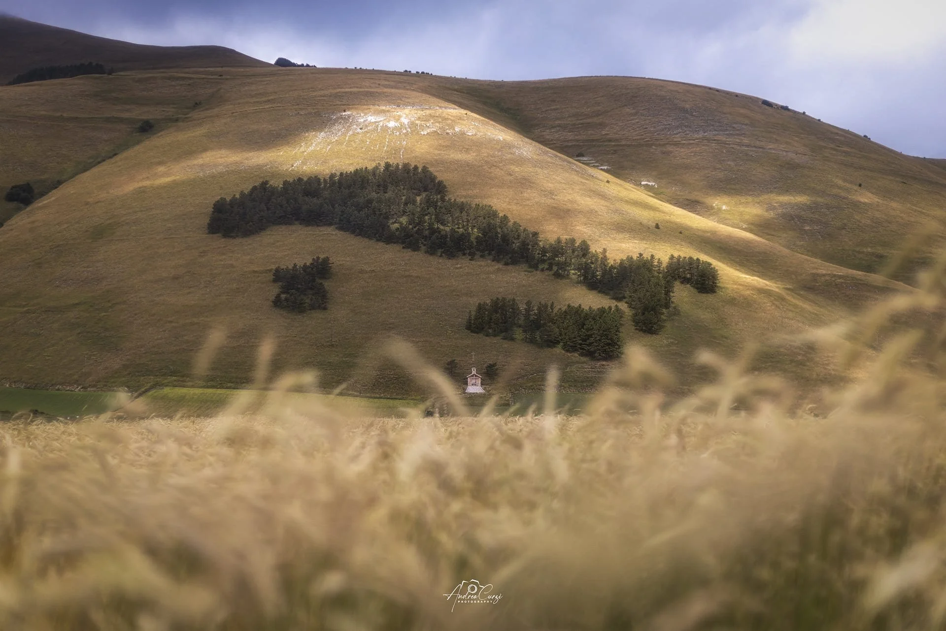 Paesaggio di Castelluccio di Norcia in Umbria durante la fioritura con colline erbose, alberi e una piccola chiesa bianca in lontananza