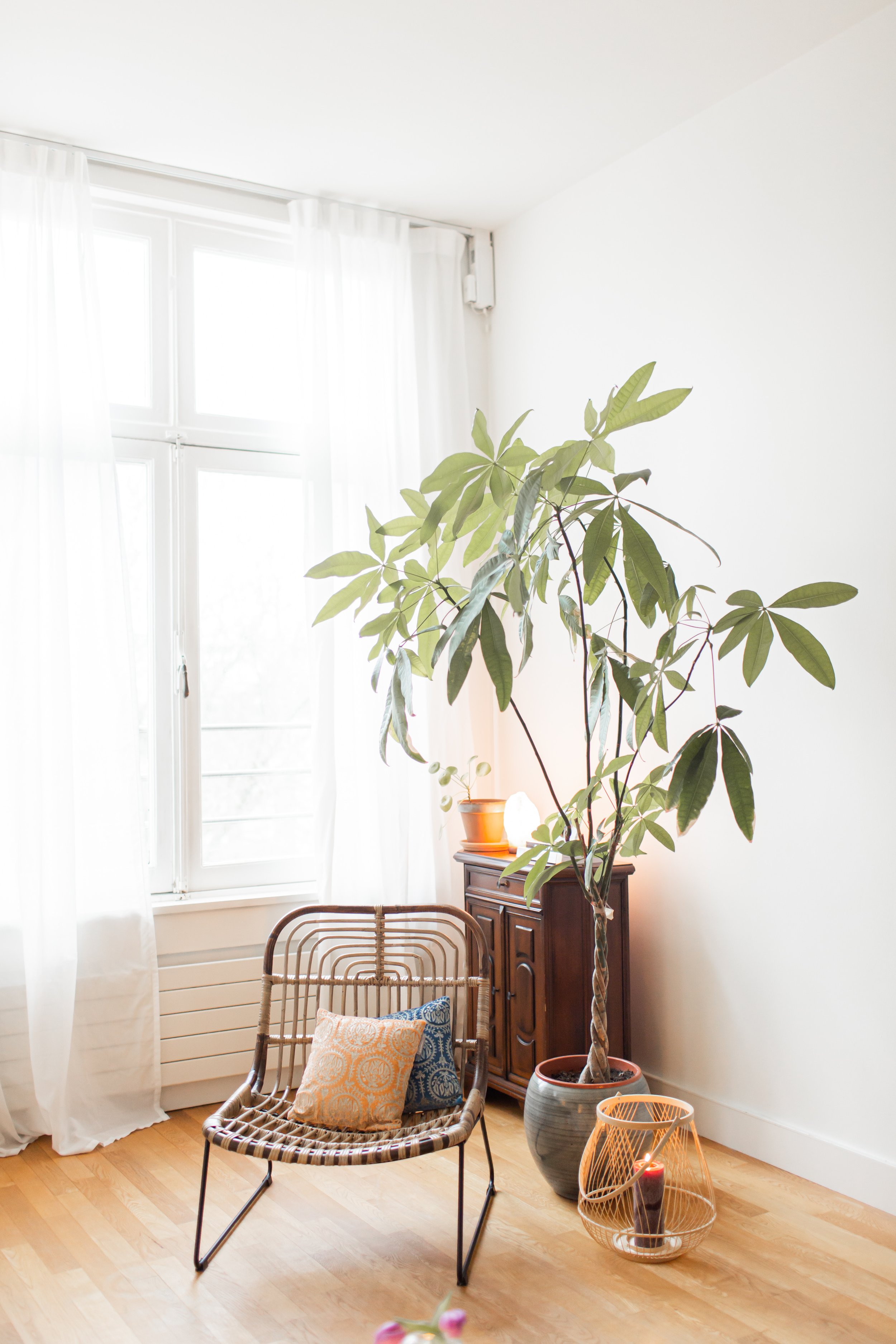 Feng Shui advies - Amsterdam