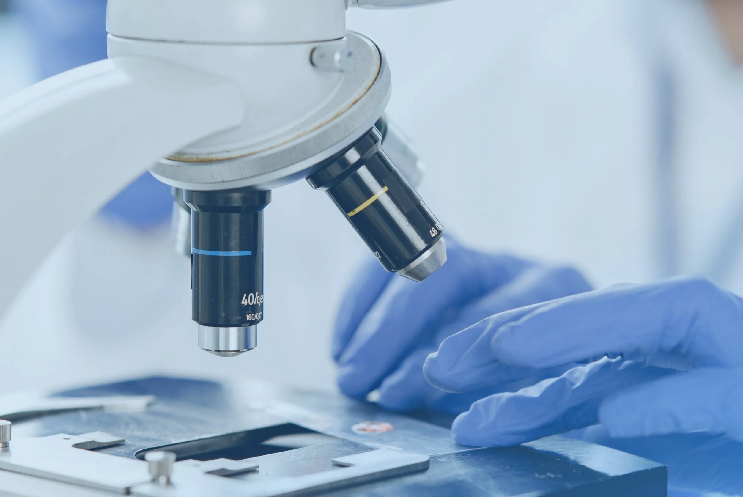 Comprehensive Lab Panel in Houston, TX | DexaFit