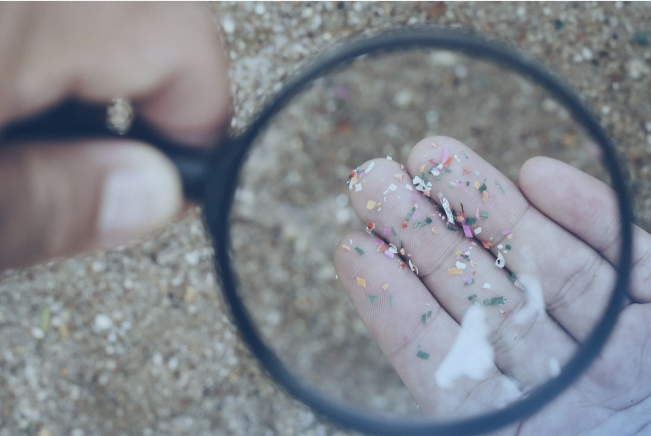 Blood Test for Microplastics Exposure | Houston TX