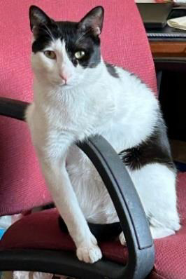 Filling in for Grandpa