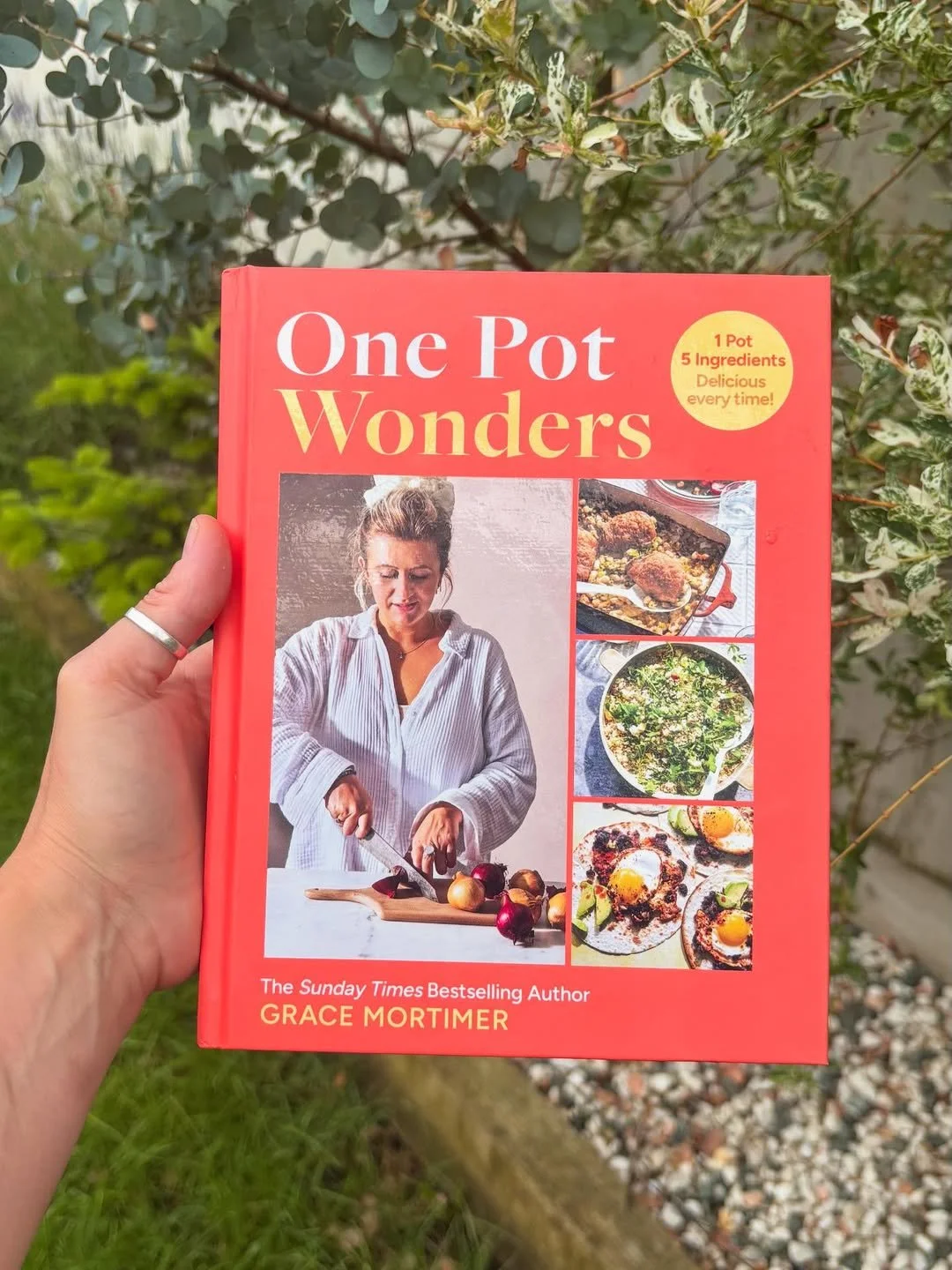 Things I’m genuinely amazed by-- a THIRD cookbook, did I really do that! - the cheeks and genera.jpg