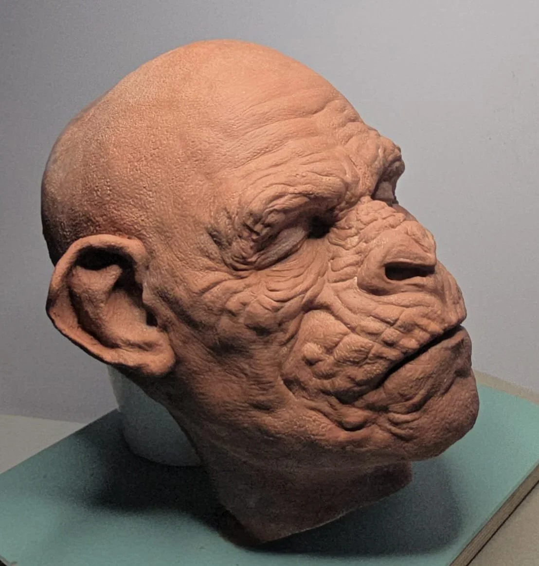 Prosthetic-ape.jpeg