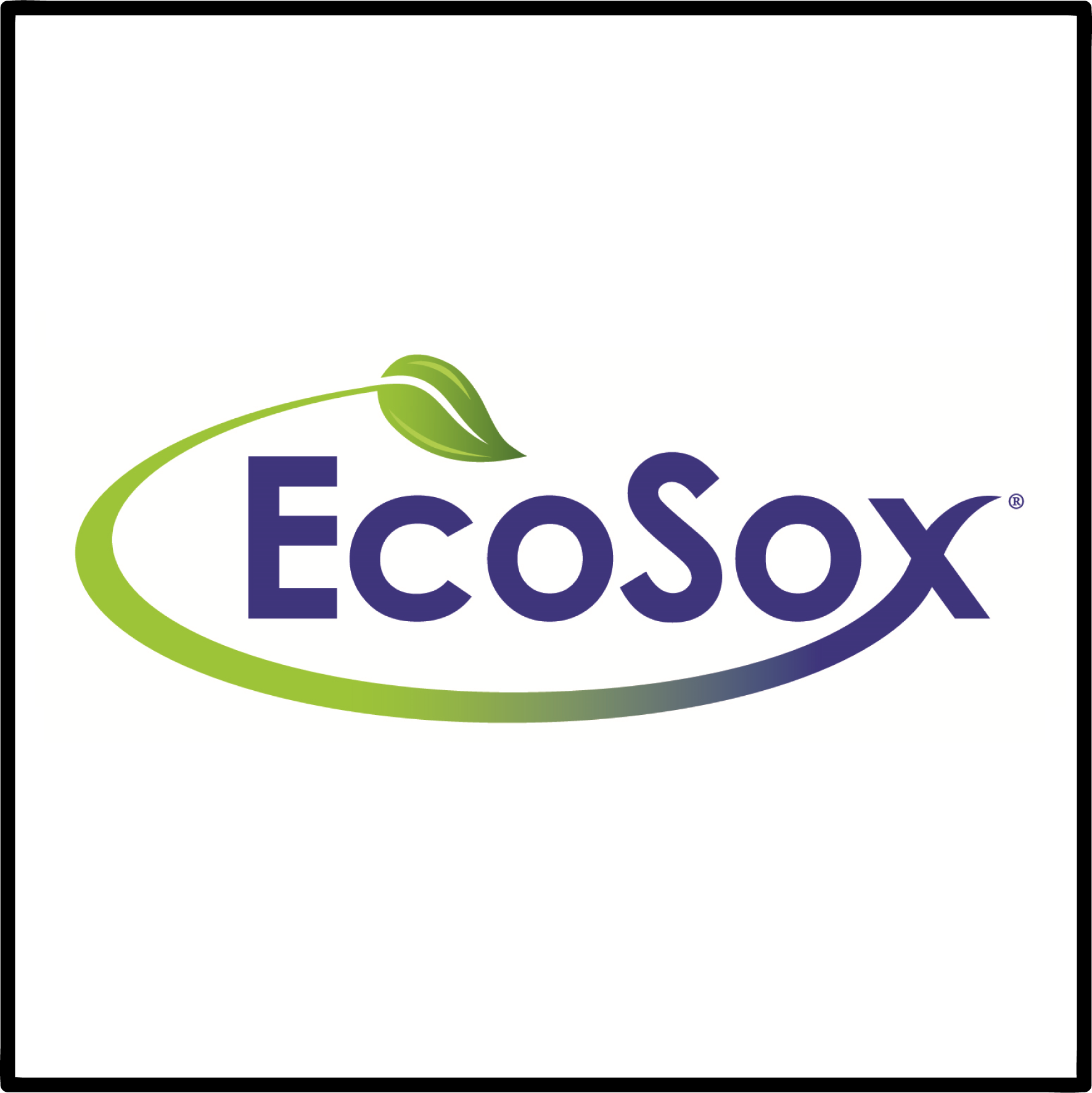 EcoSox.png