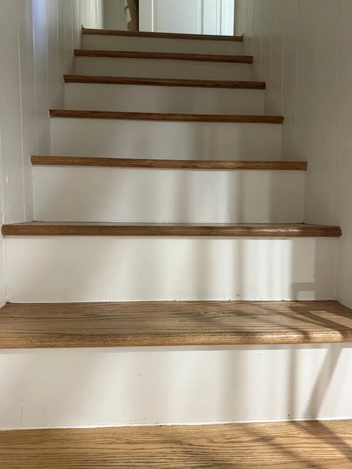 495937221_1251245370337898_4445074527857365750_n.jpg