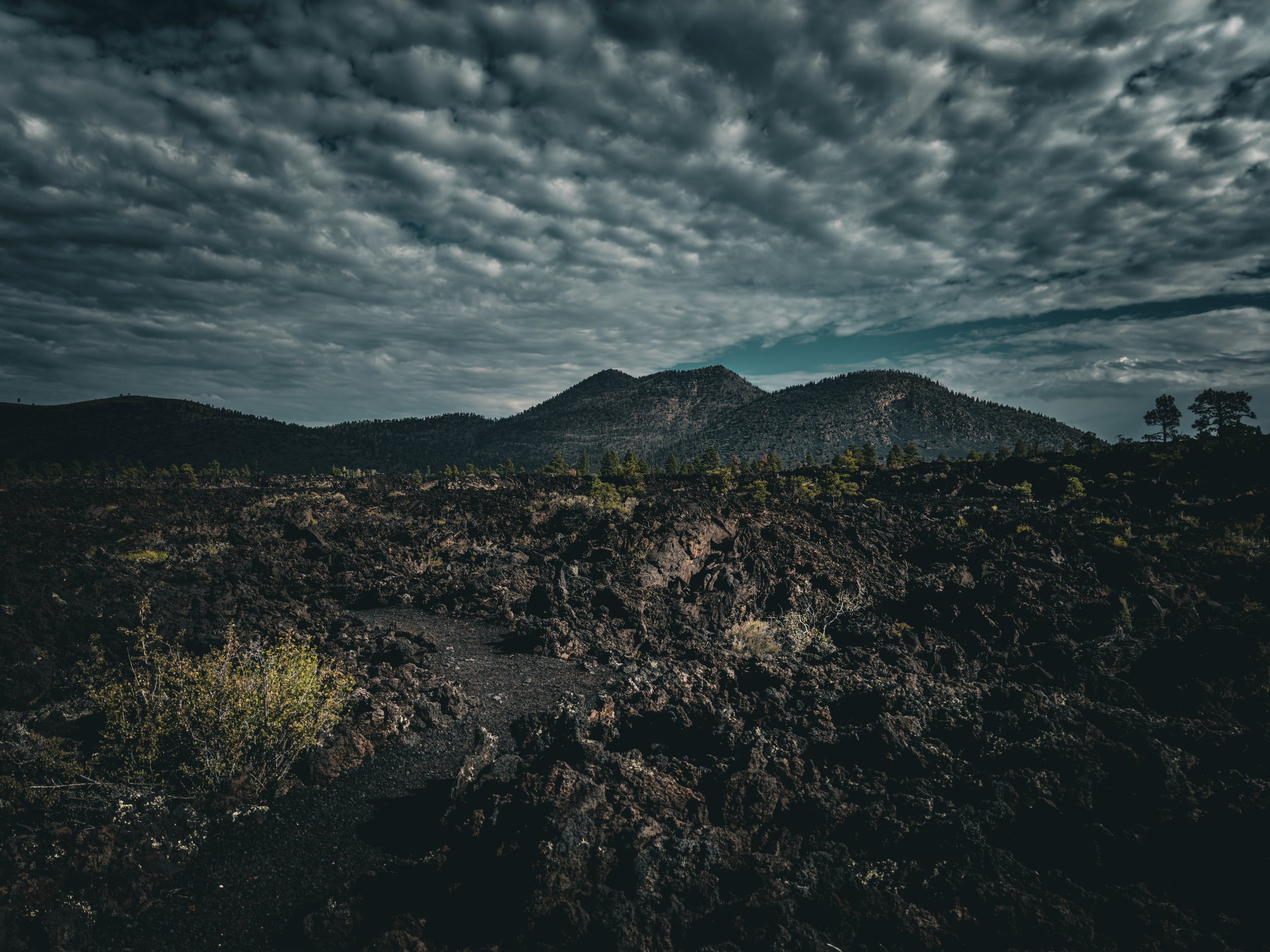 Lava Rock Flagstaff Arizona