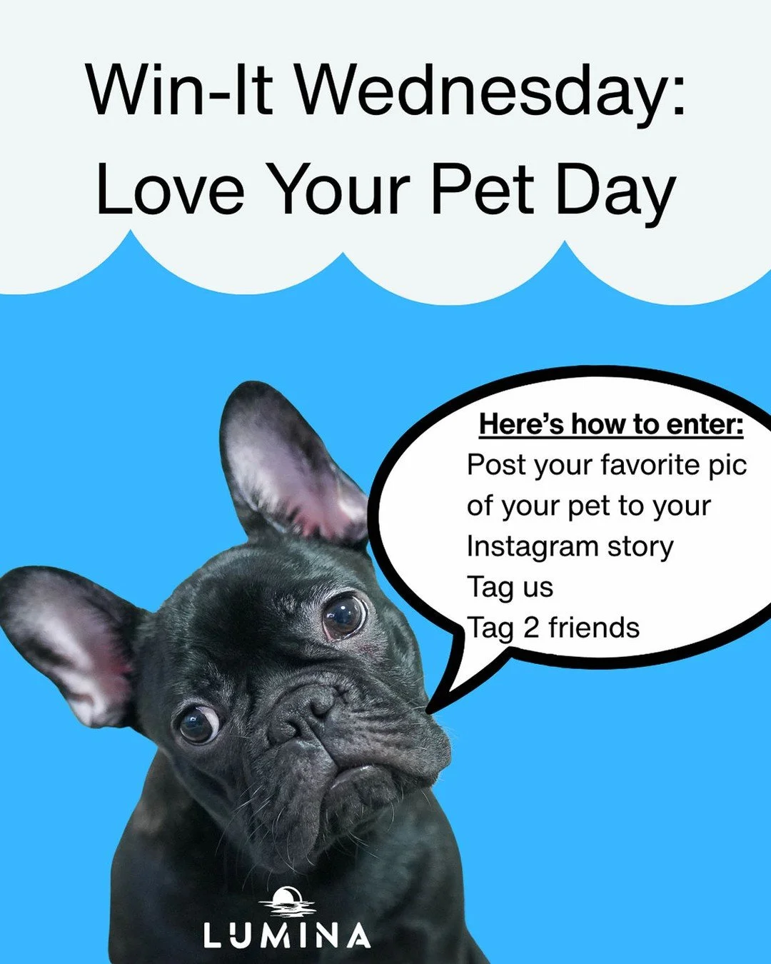 Friday is Love Your Pet Day, and we&rsquo;re celebrating our four-legged residents in style! Enter for a chance to win a $50 gift card. We can&rsquo;t wait to see your adorable pets take over our stories. Entries close Friday at 4 PM. Winner announce