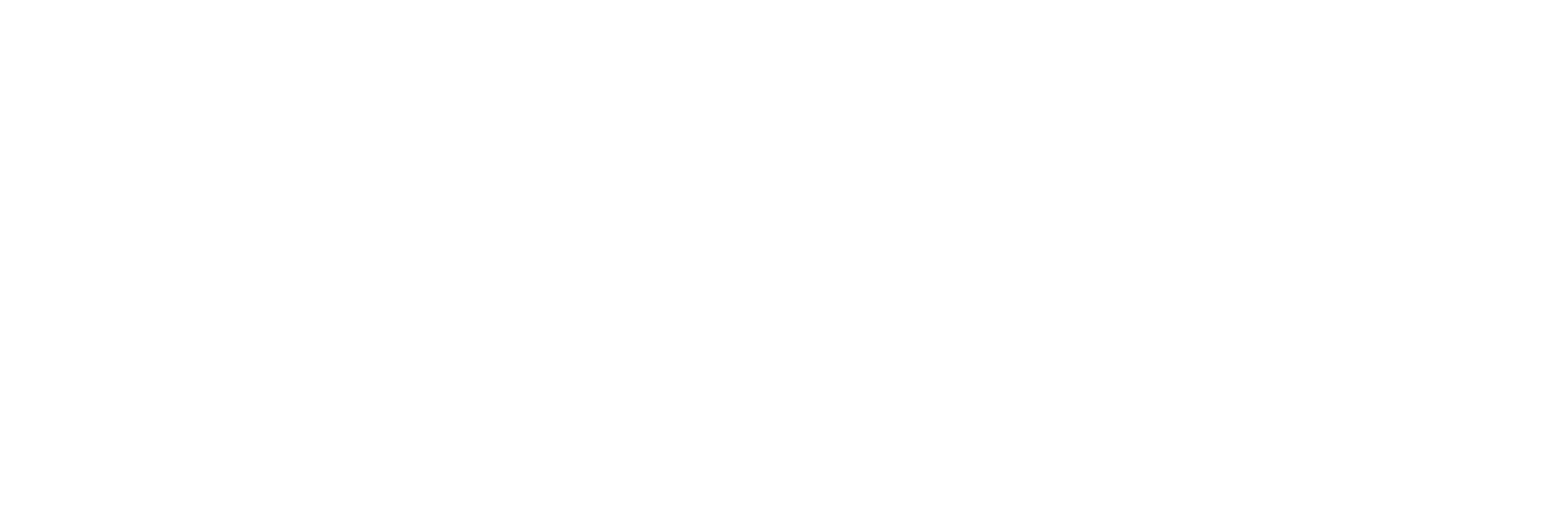 Bold, black and white text reading 'CLIENT EXPERIENCE' in a stacked format.