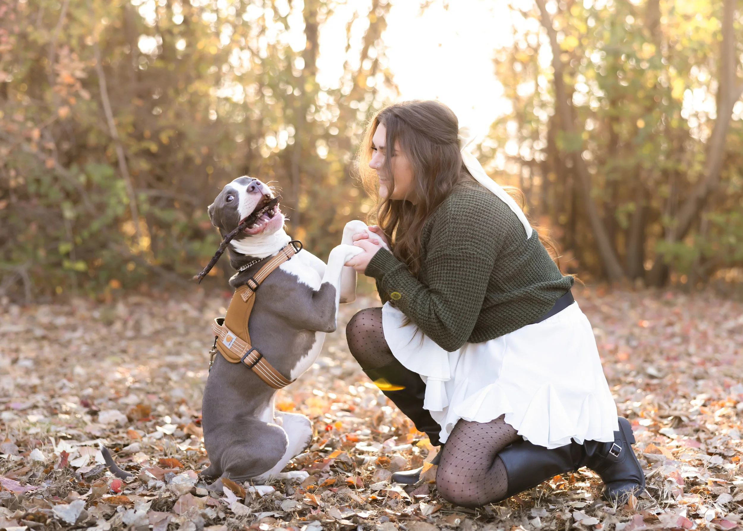 A woman and a dog playing together outdoors during fall, with leaves on the ground and trees in the background.