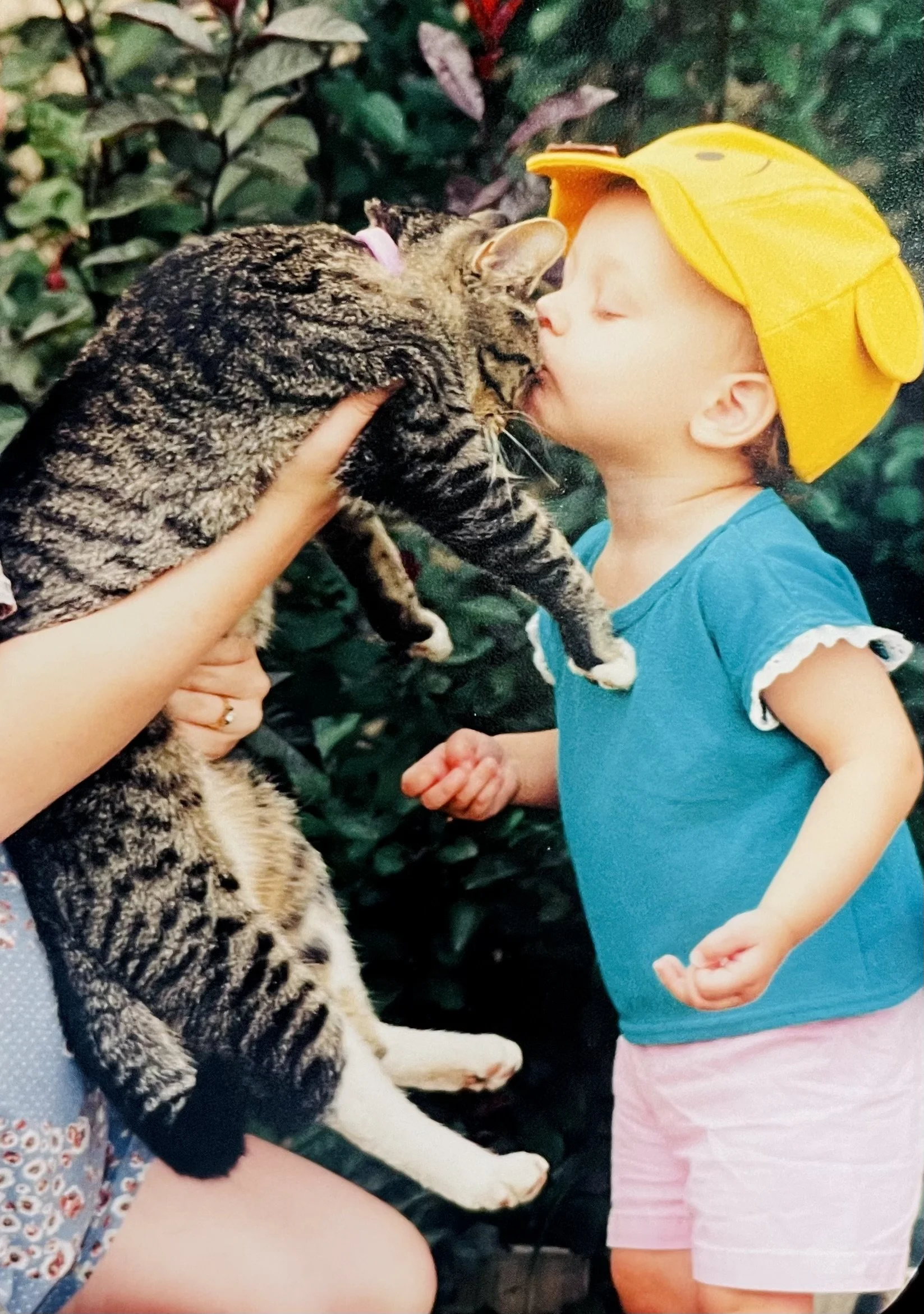 A child wearing a yellow cap and a blue shirt kisses a large tabby cat held by an adult, with green foliage in the background.