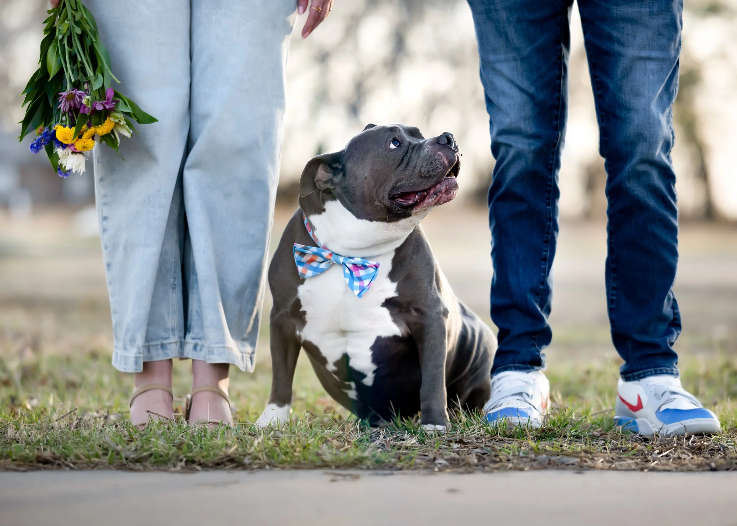 A person holding a bouquet of flowers stands next to a sitting dog wearing a colorful bow tie, with another person standing beside the dog. The scene is outdoors on grass with trees in the background.
