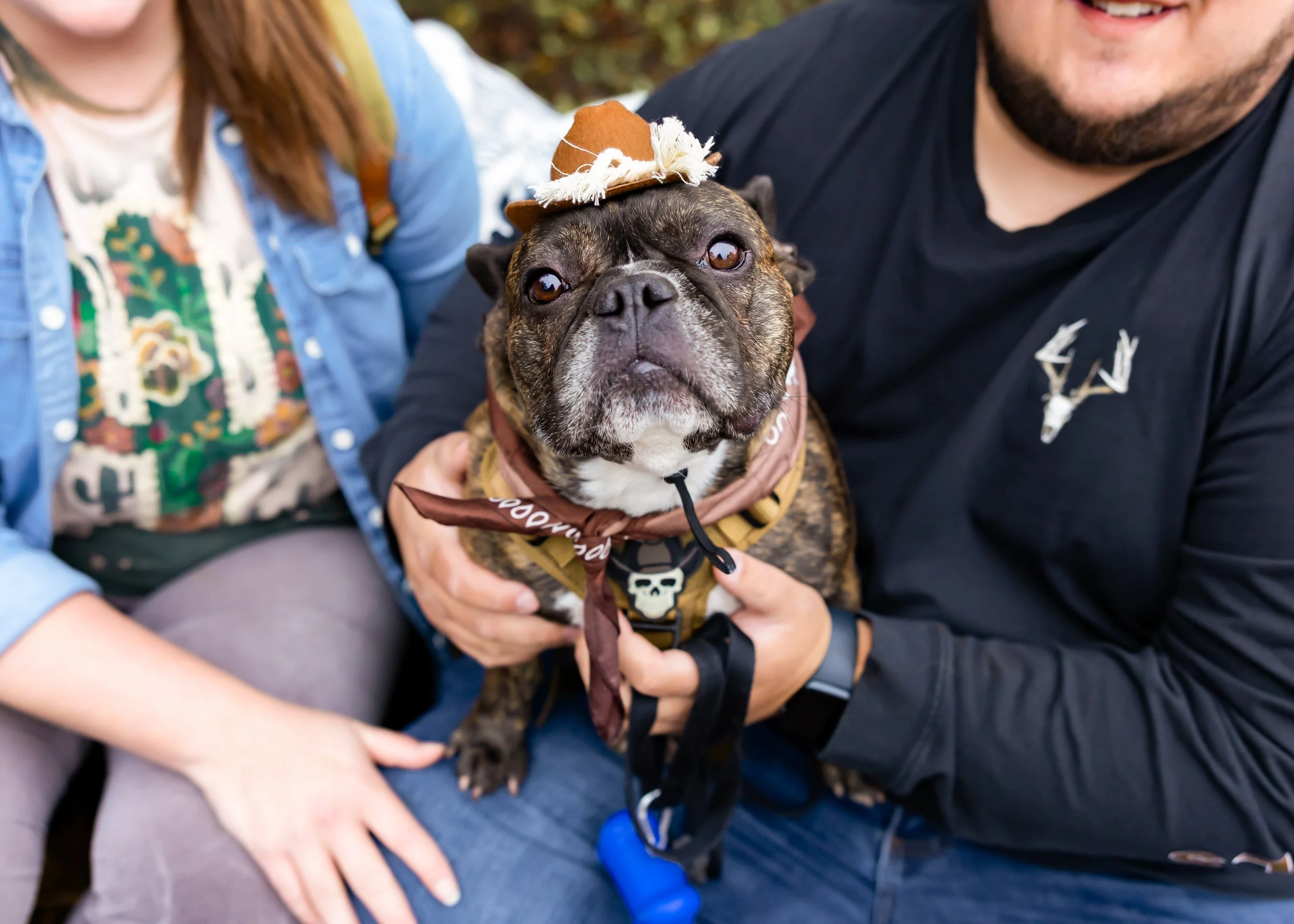 A brindle French Bulldog wearing a cowboy hat and bandana, being held by a man, with a person sitting next to them, during an outdoor event.