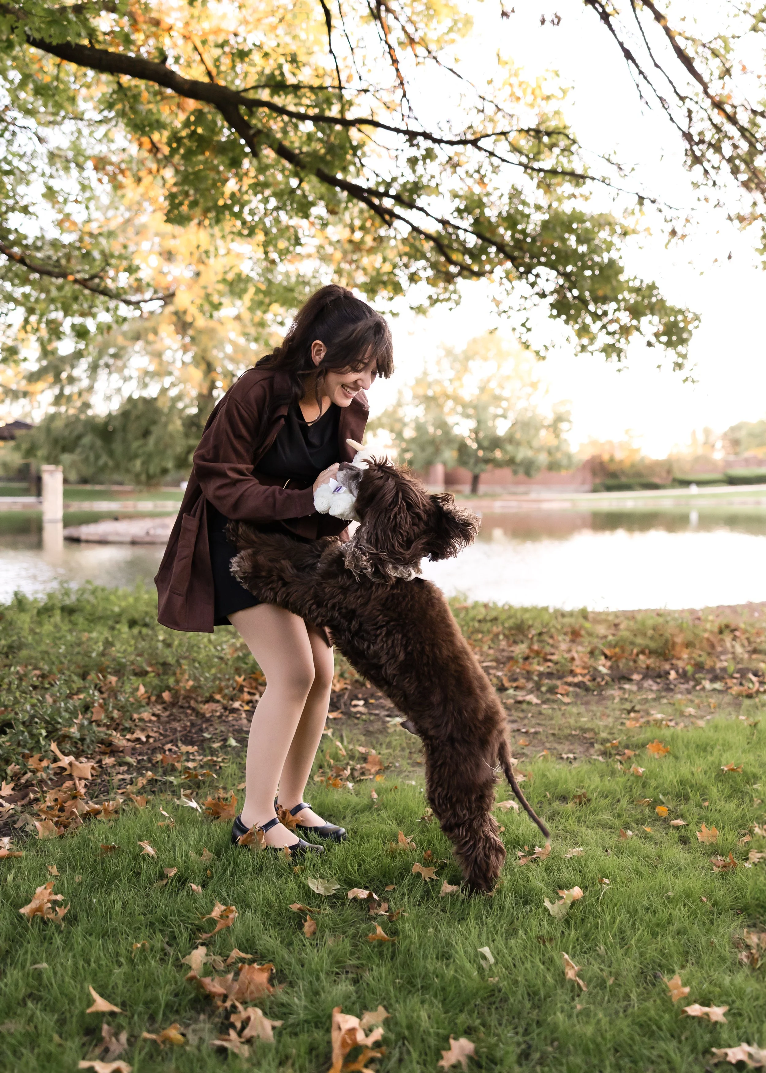 A woman and a dog playing together outdoors near a pond with trees and fall leaves.