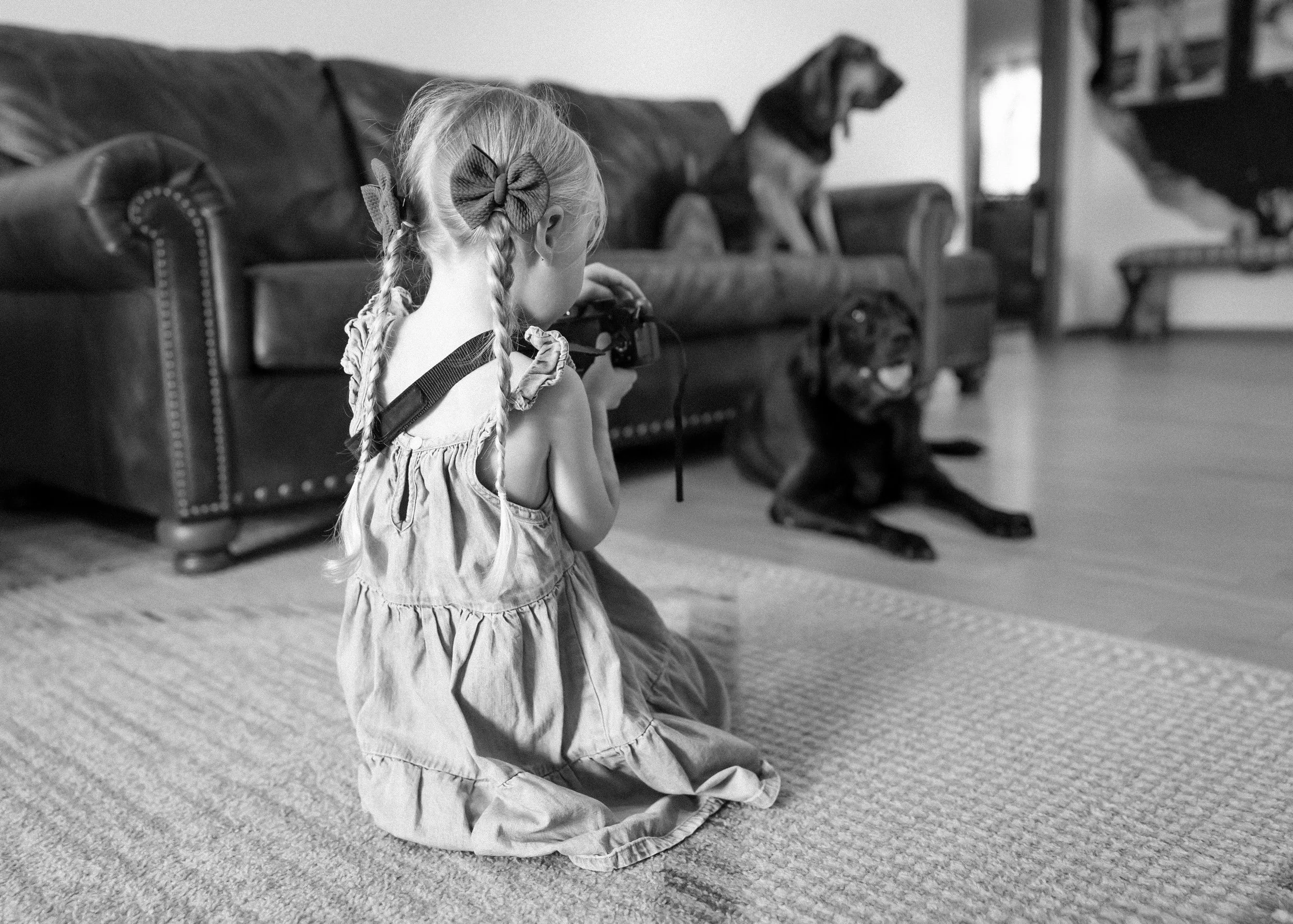 A little girl kneeling on the floor holding a camera, with two dogs sitting on a couch and lying on the floor in a living room.