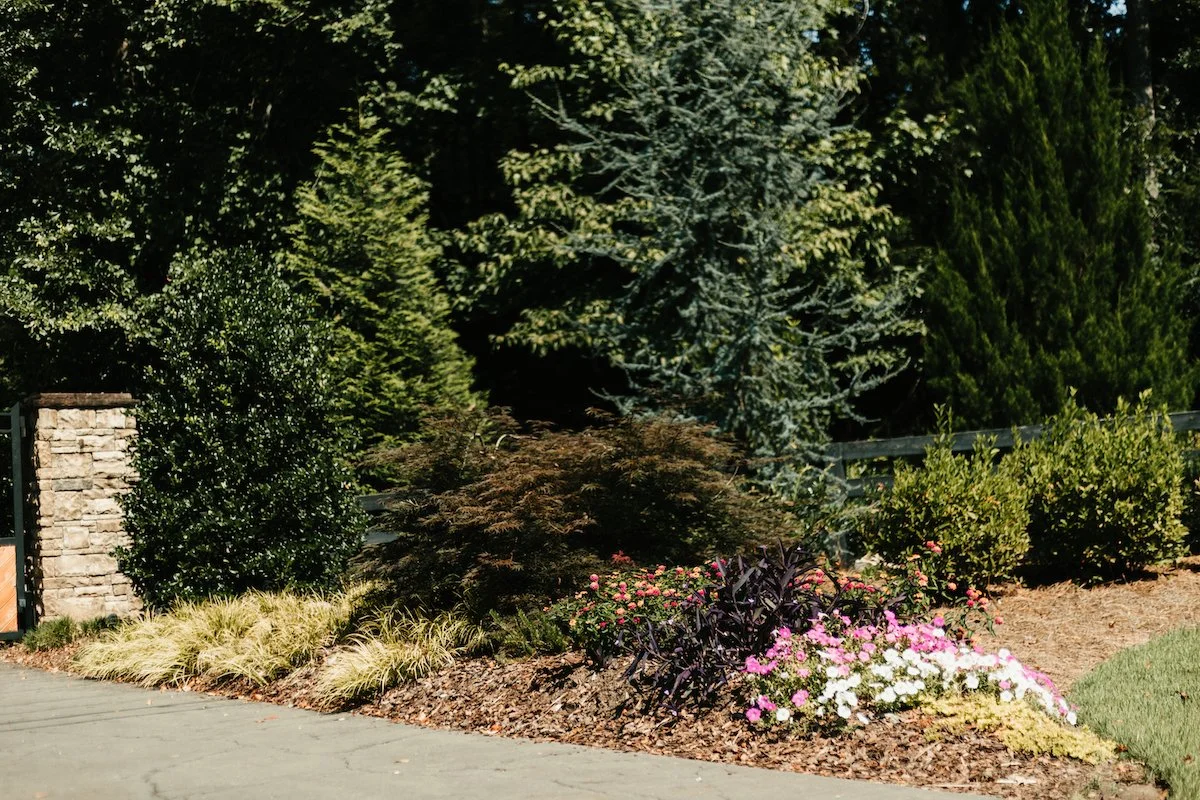 King Green Lawn Care Services in McDonough, Norcross, Canton, GA