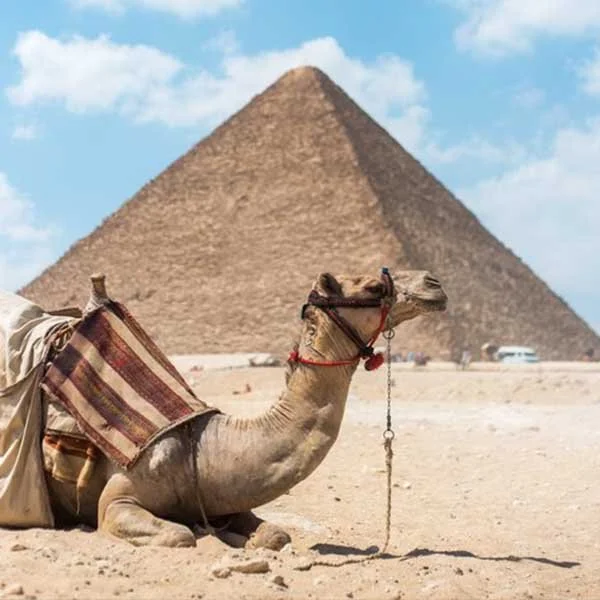 Travel to Egypt