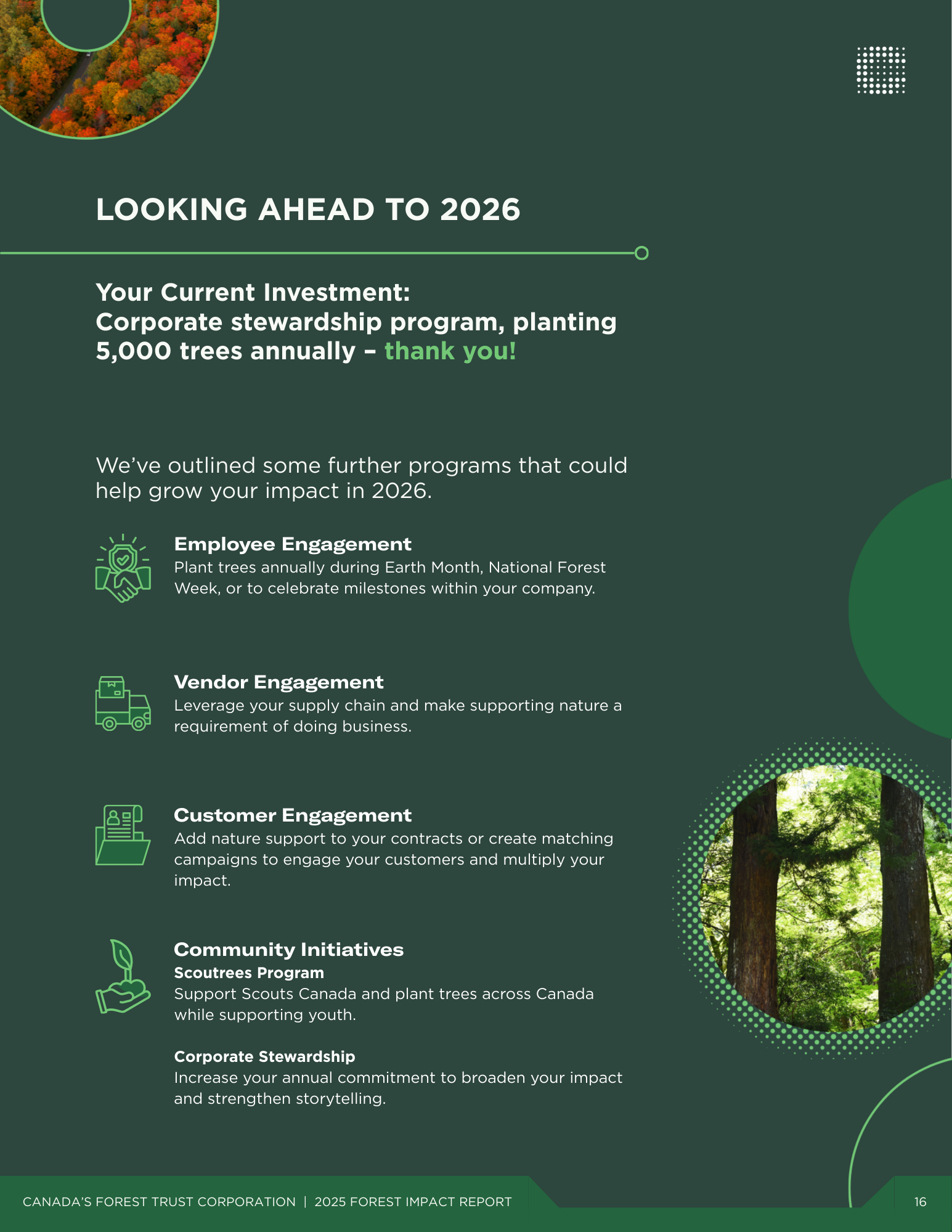 NEW Draft Portrait.png