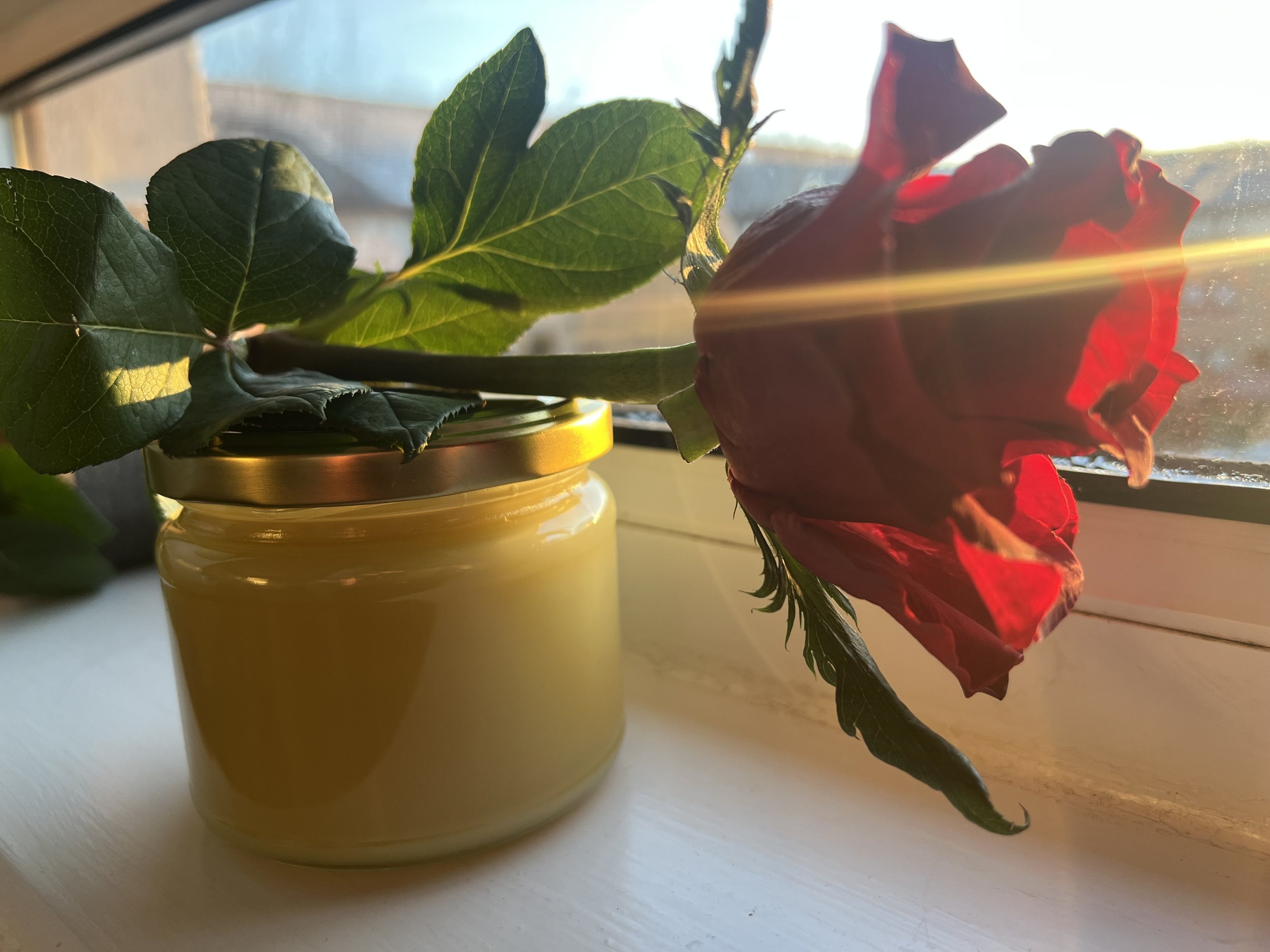 A red rose on top of a jar of ghee