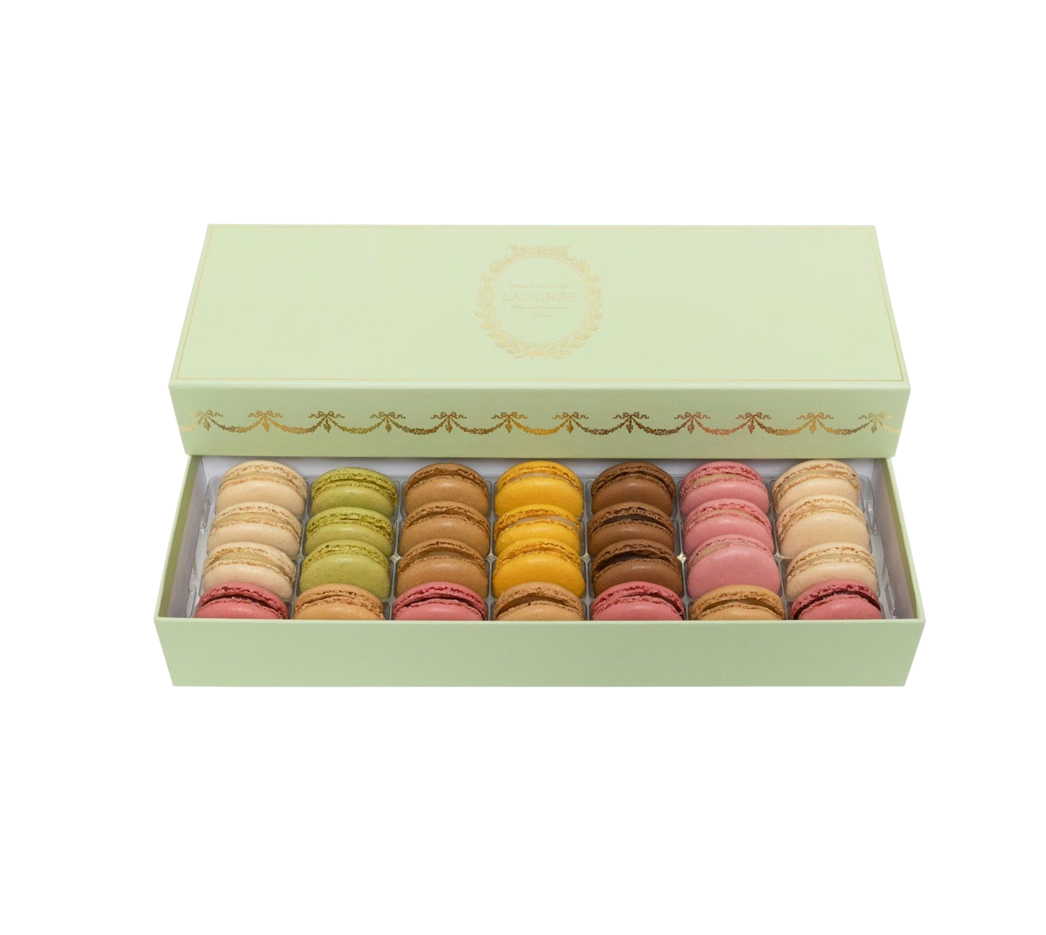 FAVES VICTORIA NINETTE 81.png