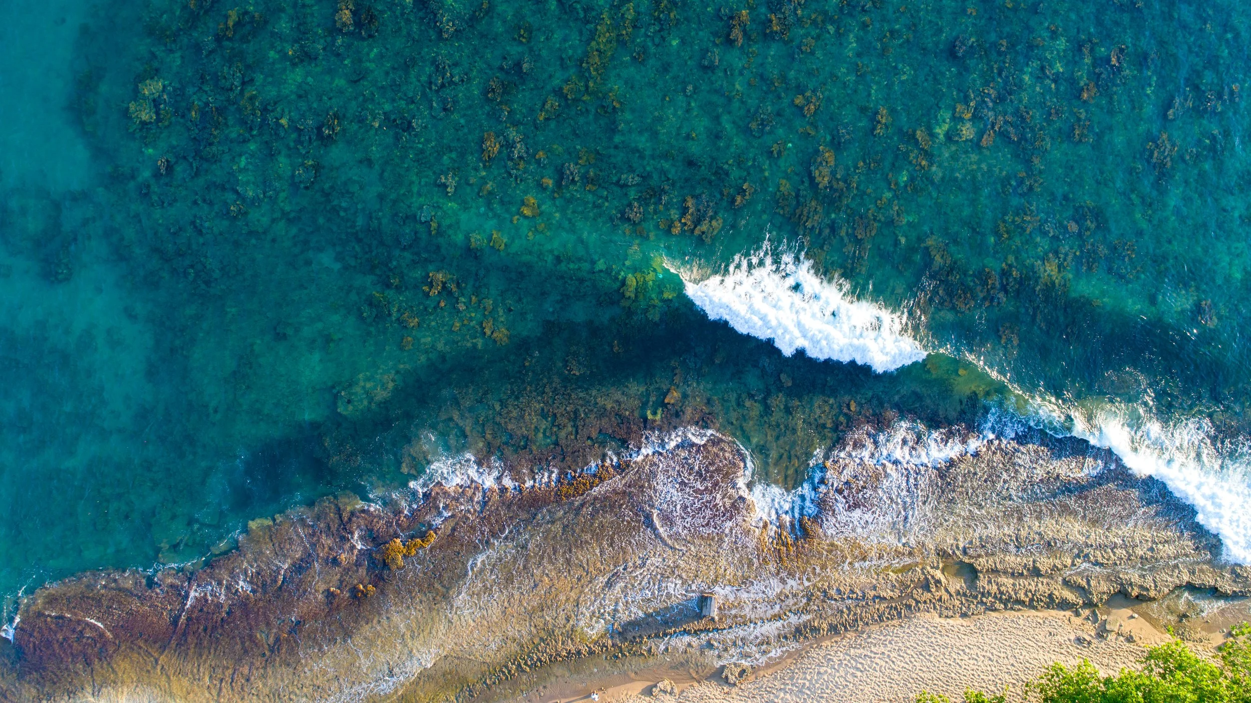 DJI_0084.jpg