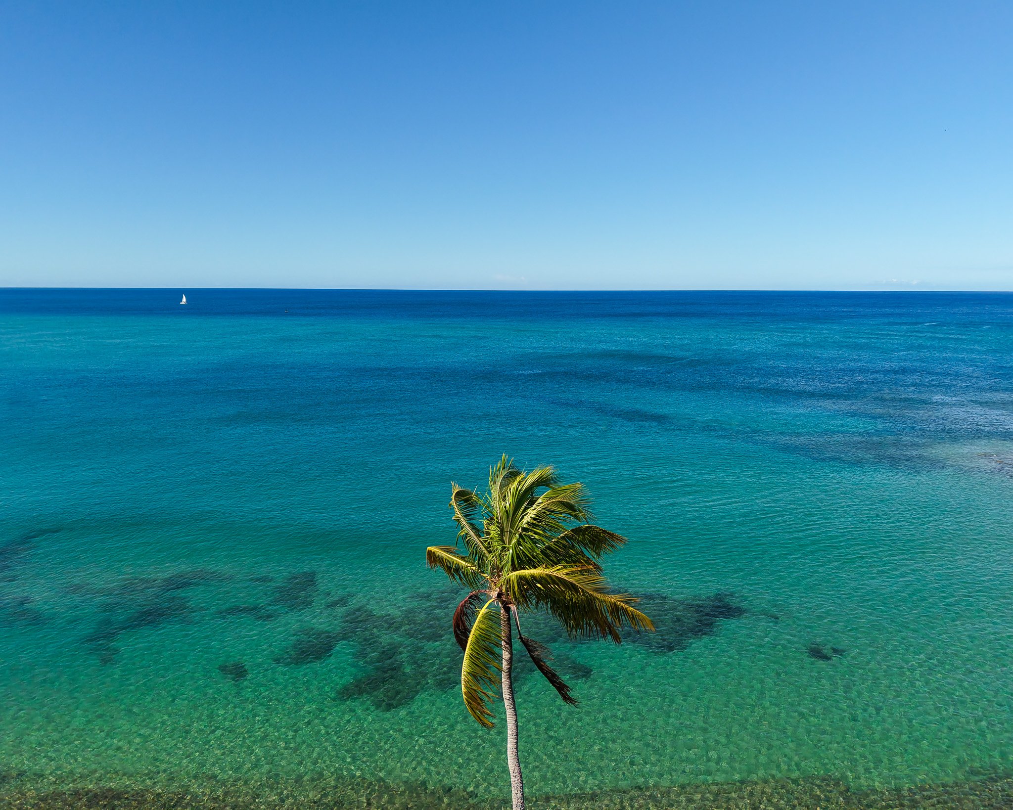 DJI_20250415093134_0006_D.jpg
