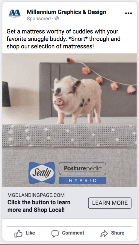 Click ABOVE to View Video on Facebook