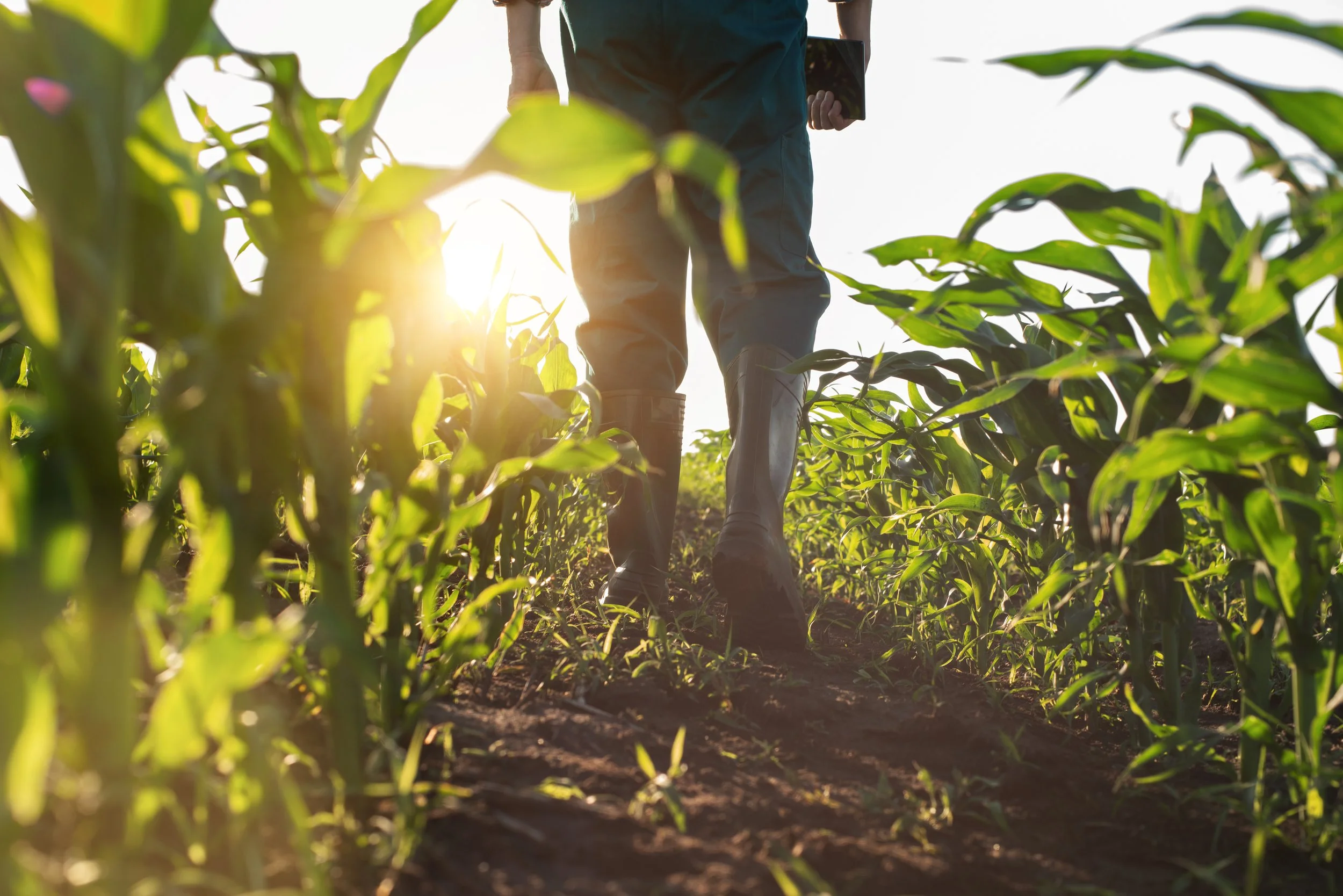 NC Chamber Foundation Receives Golden LEAF Funding to Lead Agricultural Workforce Intelligence Pilot