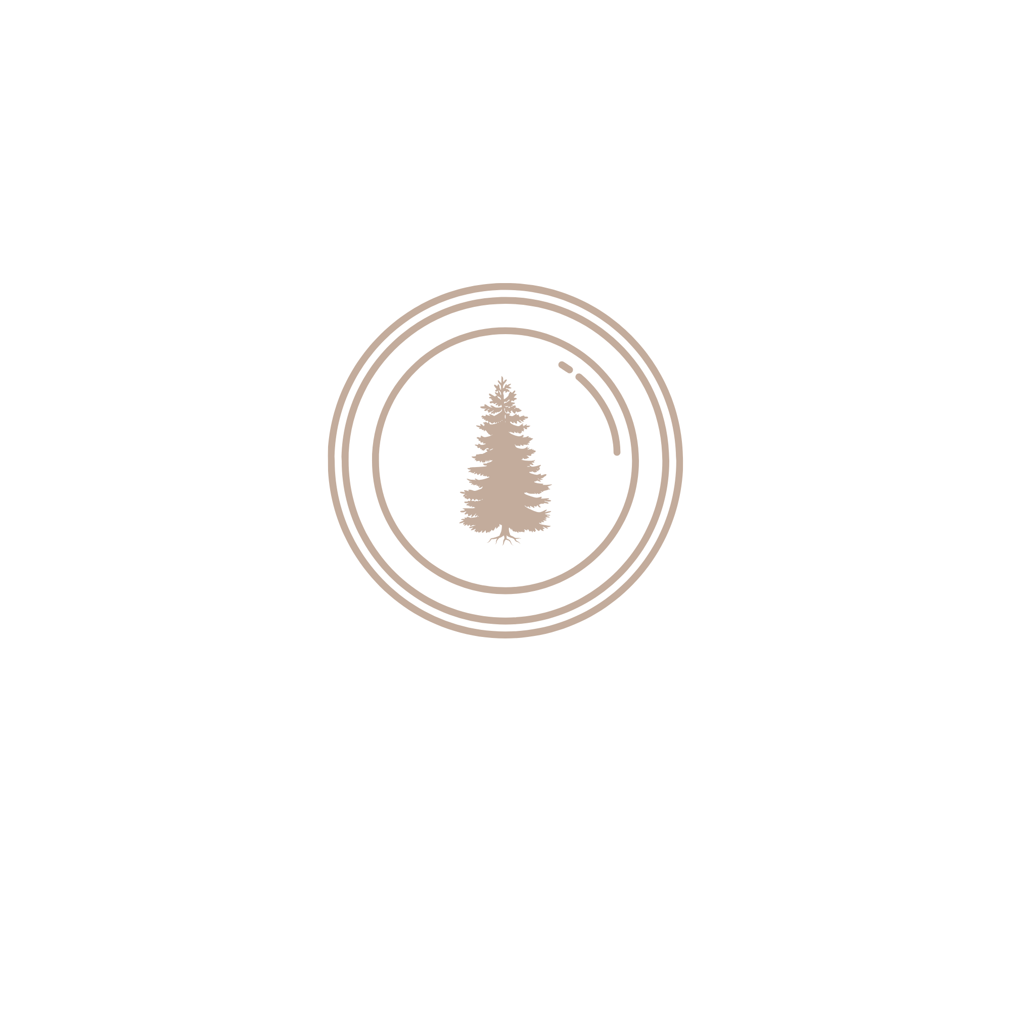 Black background with a beige, stylized pine tree inside concentric circles.