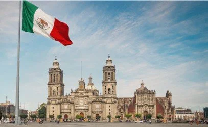 Mexico Magic Mushrooms