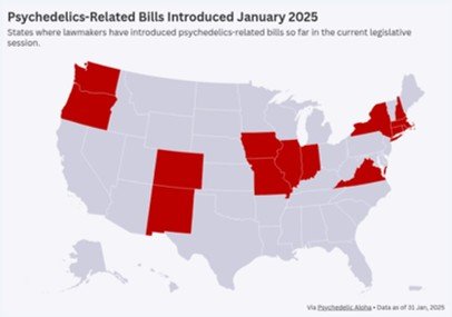 Psychedelics Legalization Update