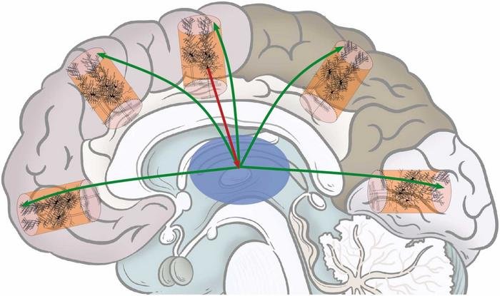 How Psychedelics Work