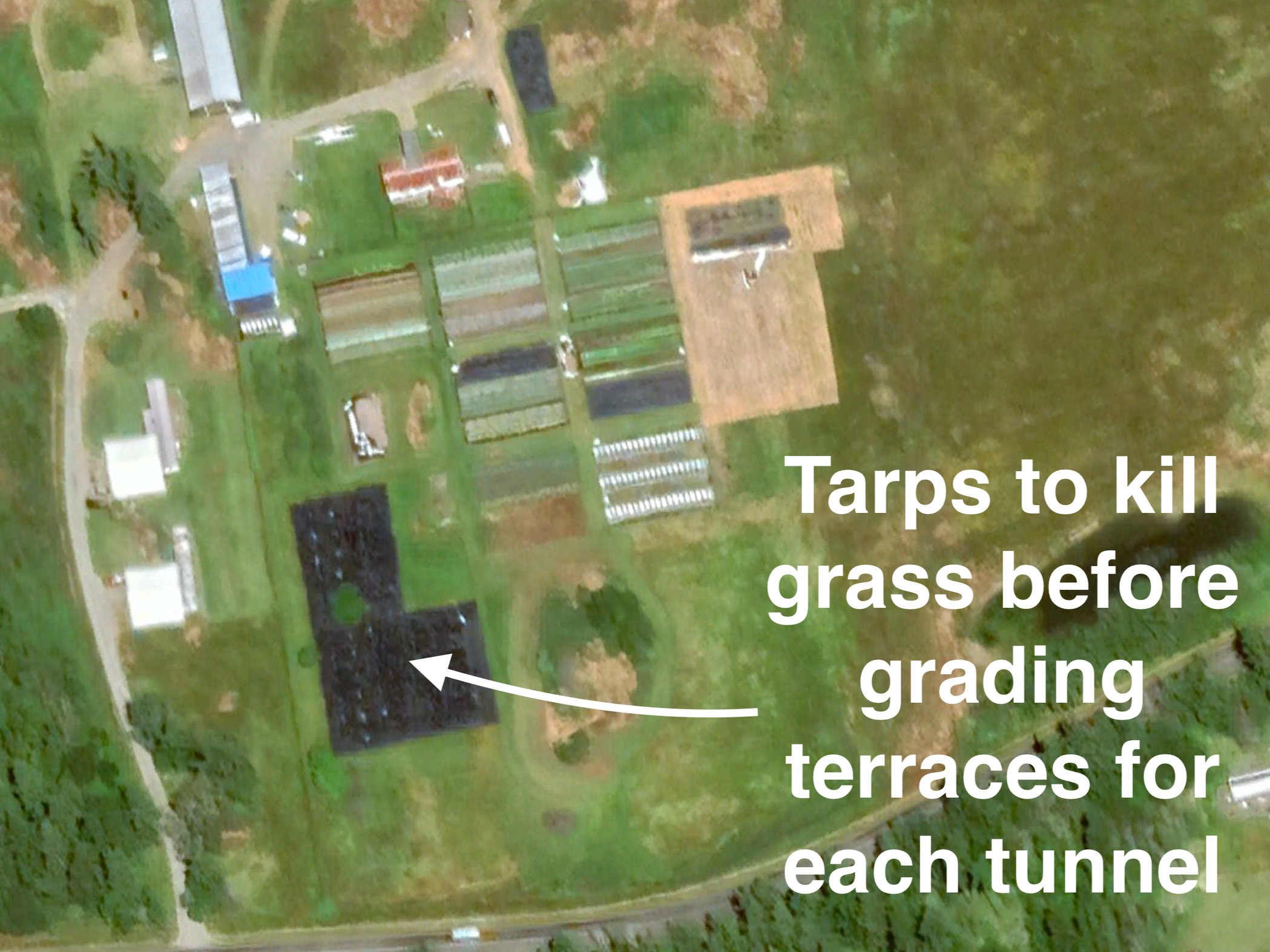 SITE PREP: Occultation on high tunnel plots.