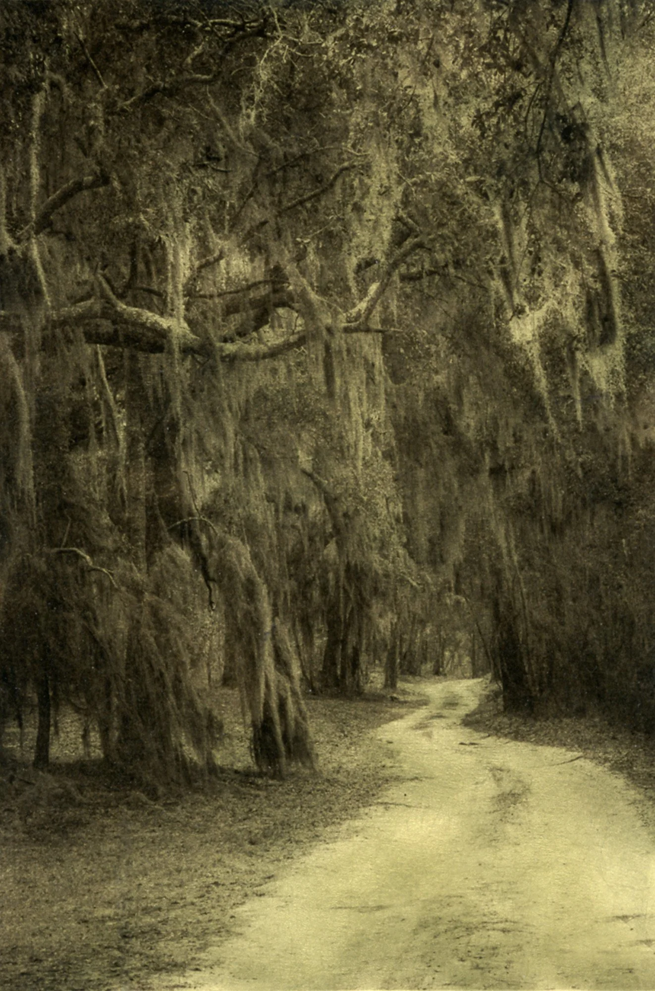 01_MarshRoad.jpg