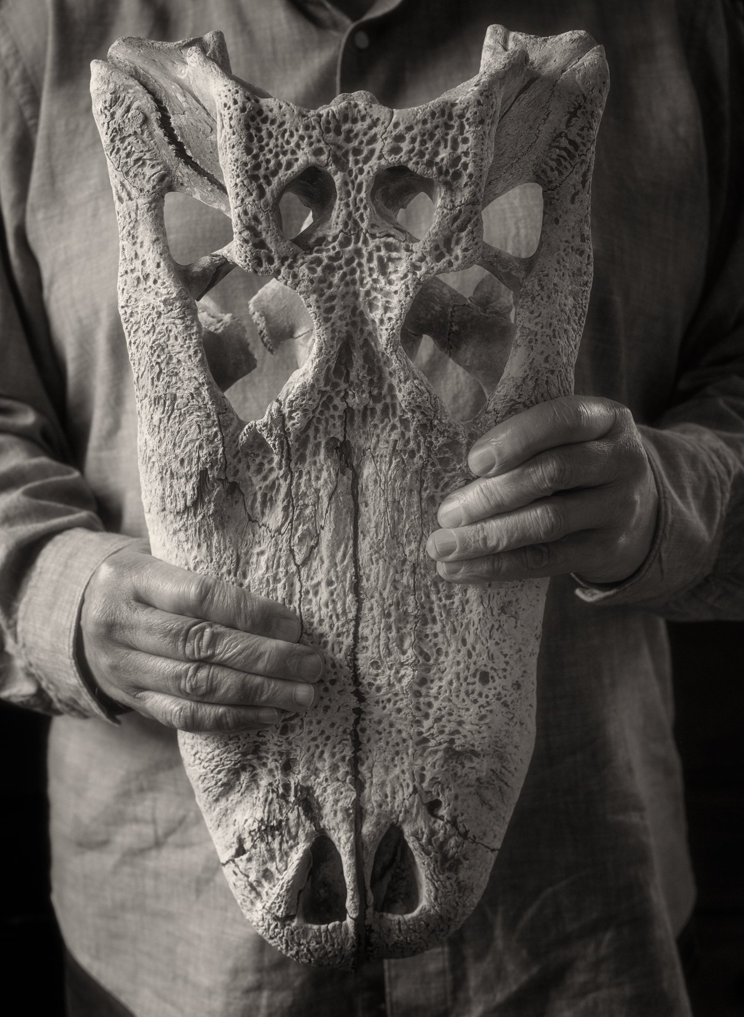 3SPENCER_GatorSkull.jpg