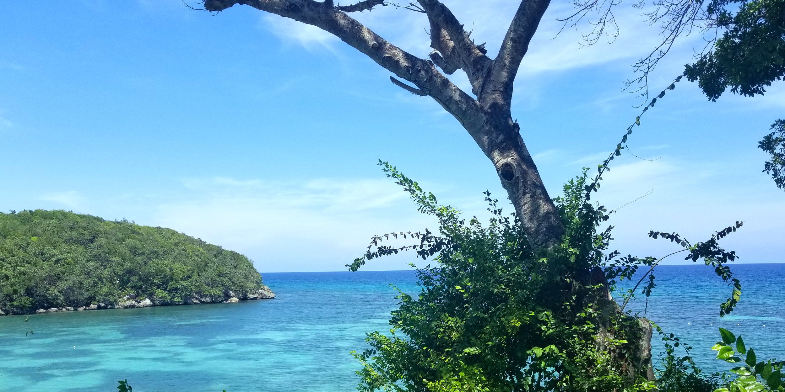 Jamaica Ocean View.jpg