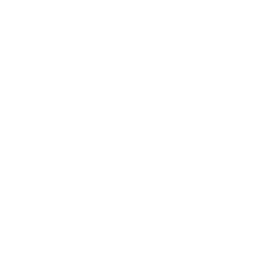 Serendipity Video
